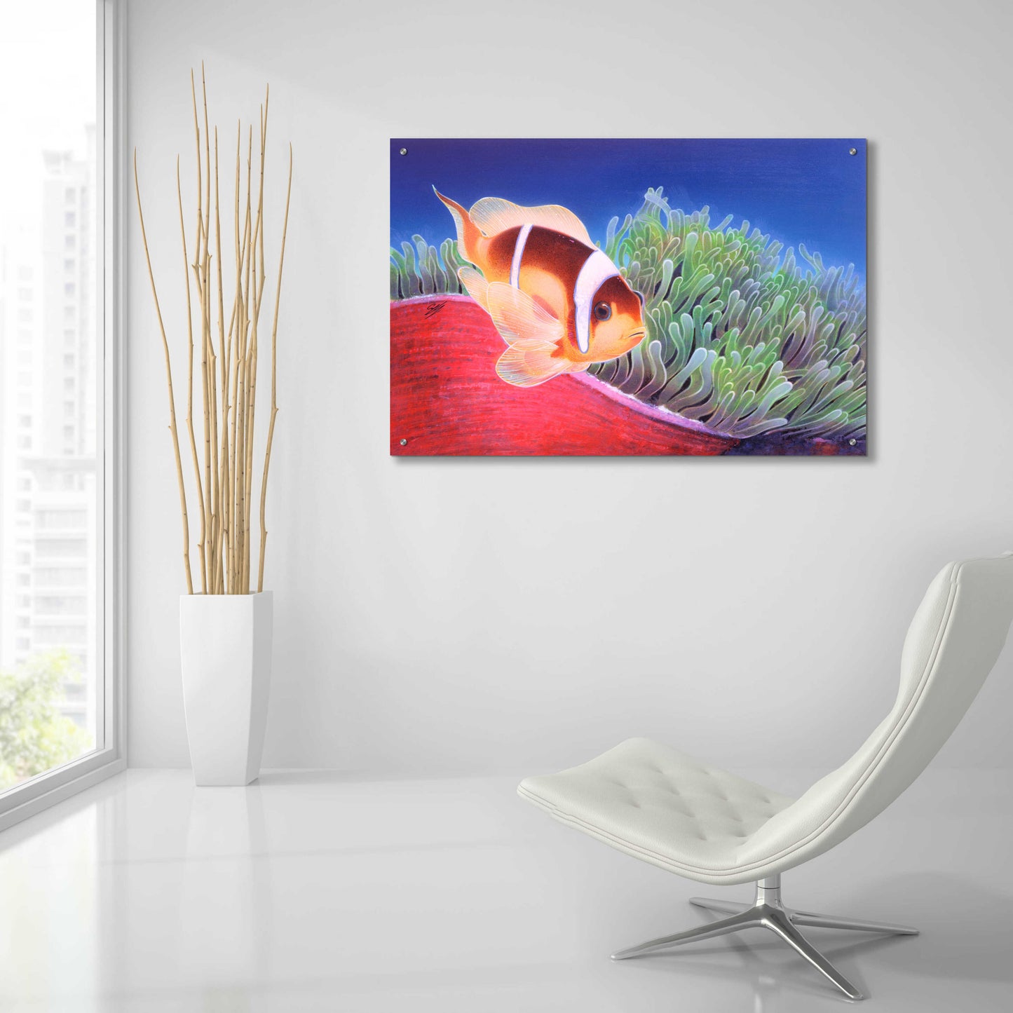 Epic Art 'Clown Fish' by Durwood Coffey, Acrylic Glass Wall Art,36x24