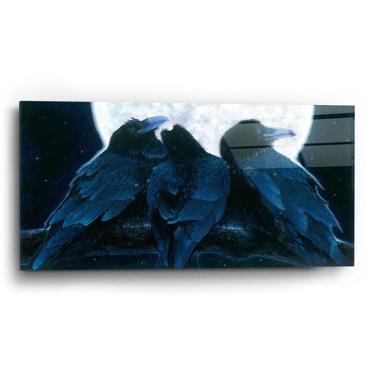 Epic Art 'Corvus Moon' by Durwood Coffey, Acrylic Glass Wall Art,24x12