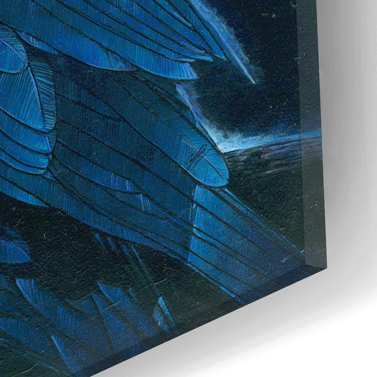 Epic Art 'Corvus Moon' by Durwood Coffey, Acrylic Glass Wall Art,24x12