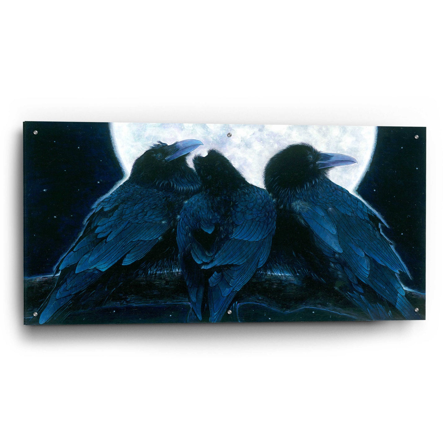 Epic Art 'Corvus Moon' by Durwood Coffey, Acrylic Glass Wall Art,48x24