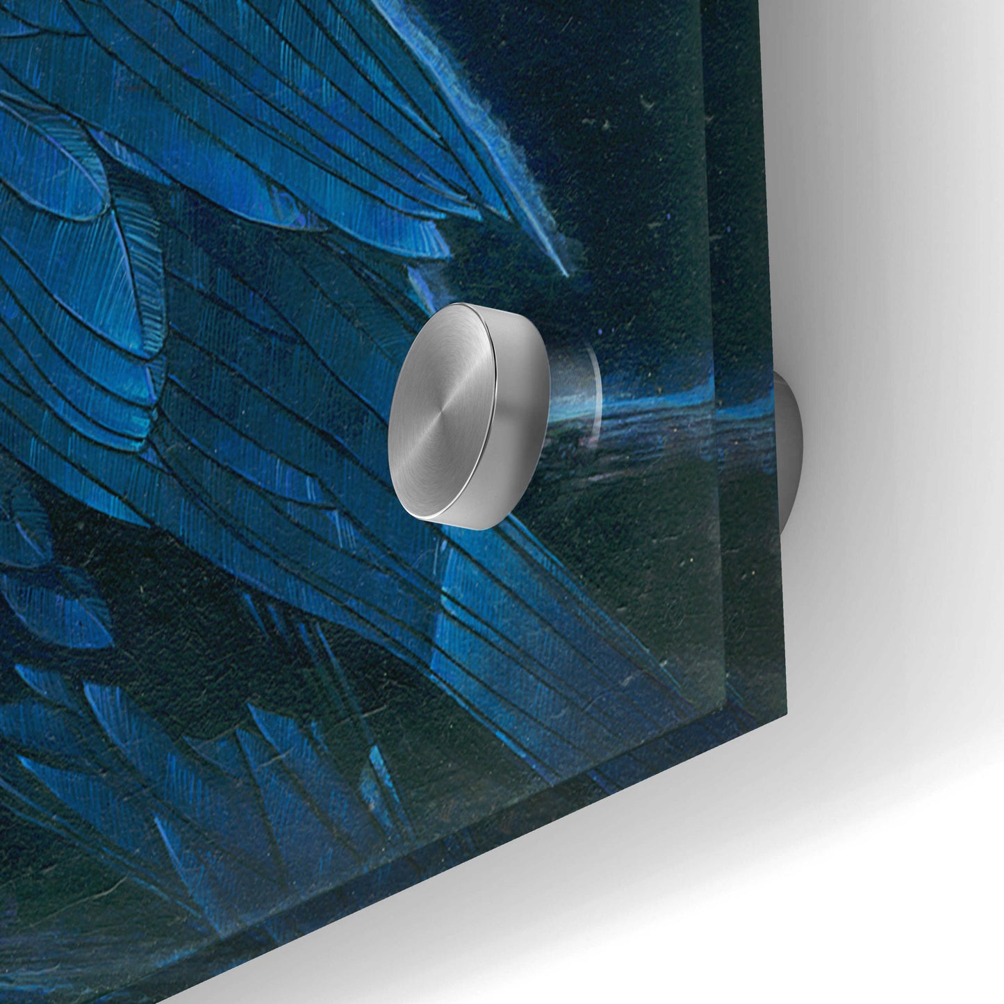 Epic Art 'Corvus Moon' by Durwood Coffey, Acrylic Glass Wall Art,48x24