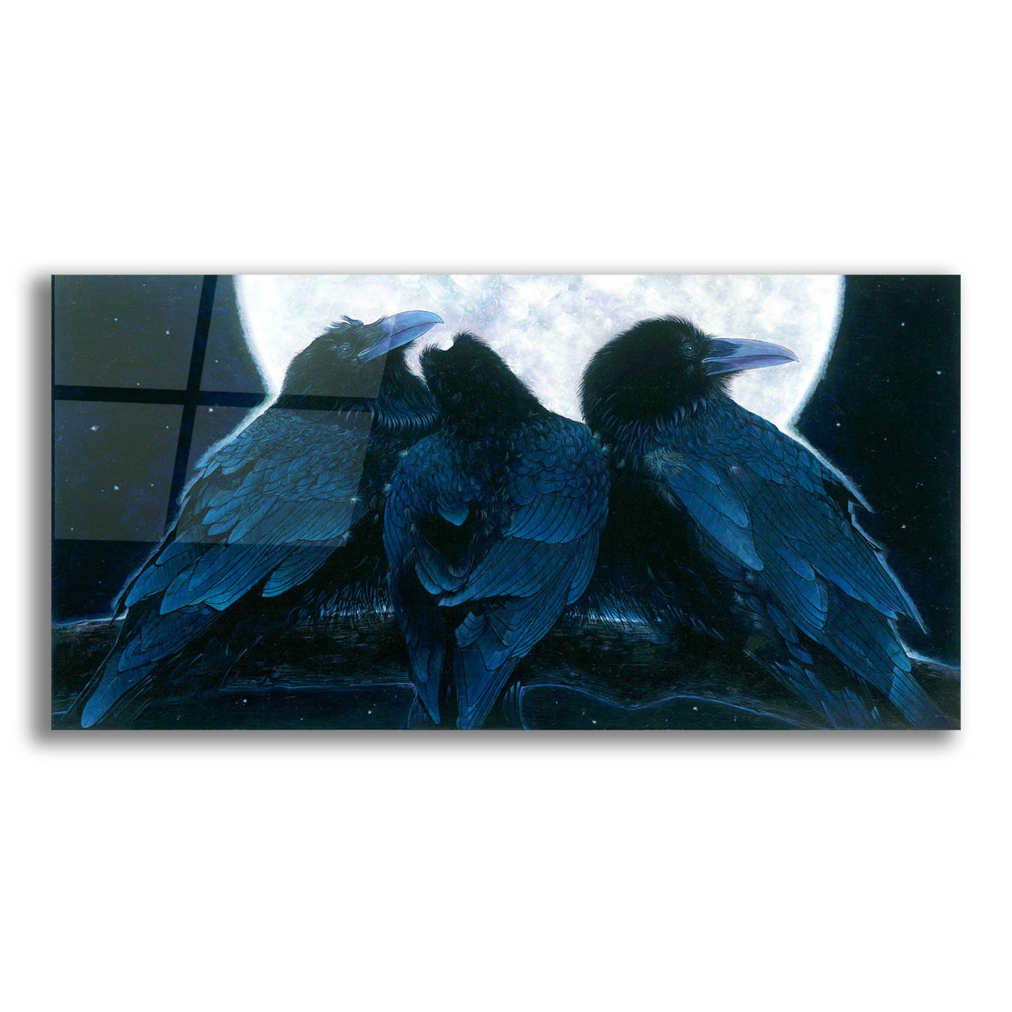 Epic Art 'Corvus Moon' by Durwood Coffey, Acrylic Glass Wall Art