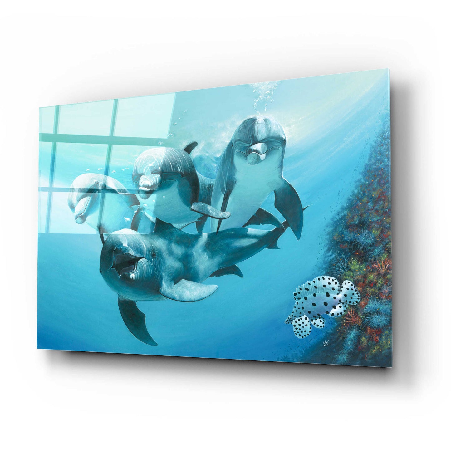 Epic Art 'Dolphins' by Durwood Coffey, Acrylic Glass Wall Art,24x16