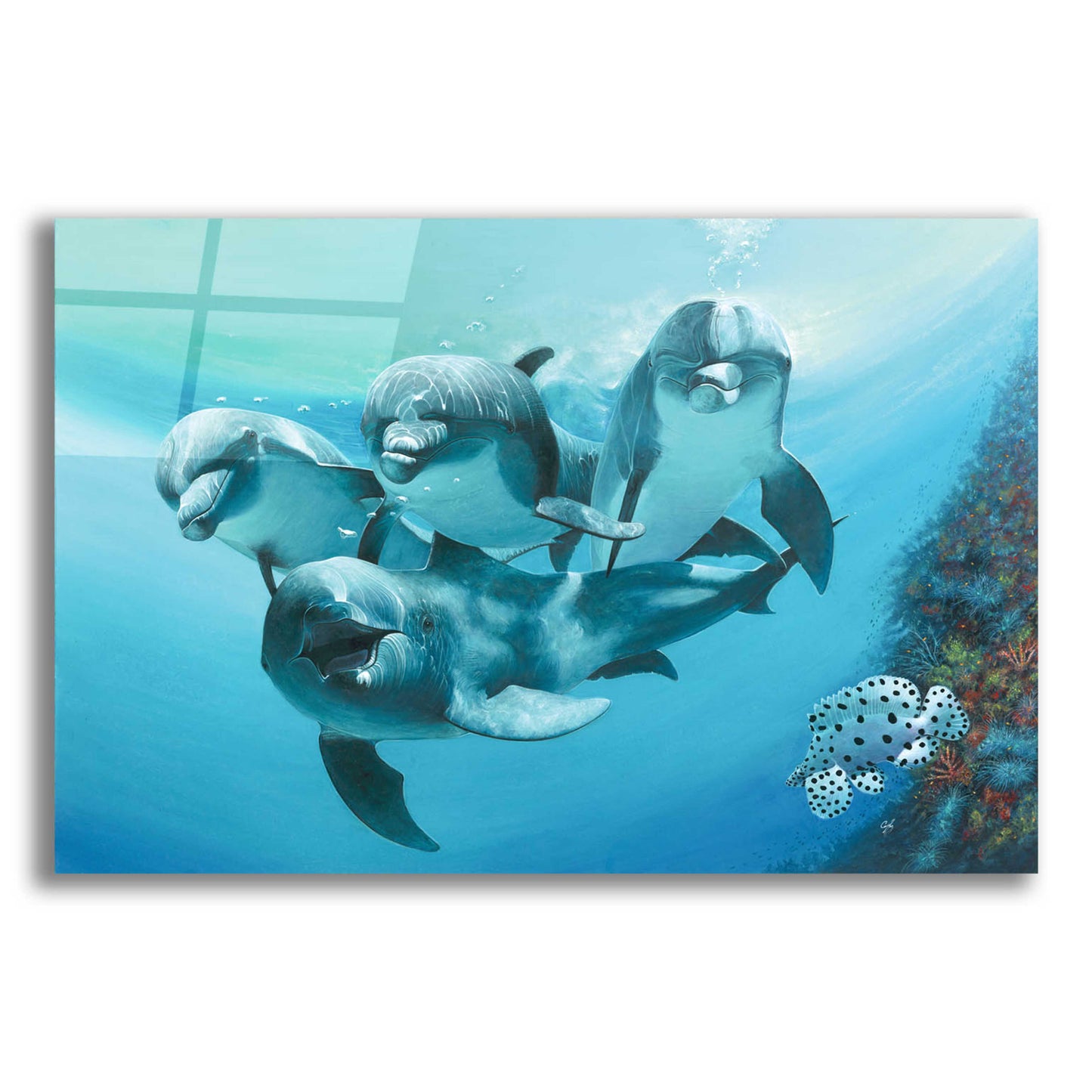 Epic Art 'Dolphins' by Durwood Coffey, Acrylic Glass Wall Art,24x16