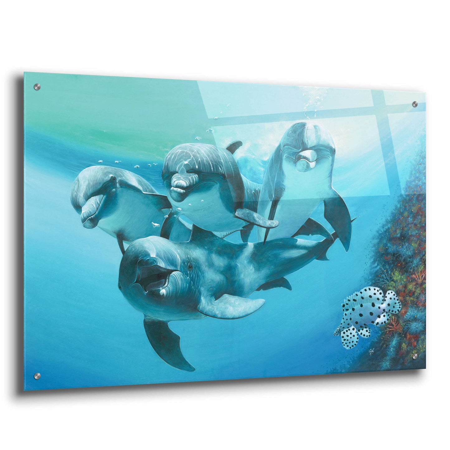 Epic Art 'Dolphins' by Durwood Coffey, Acrylic Glass Wall Art,36x24