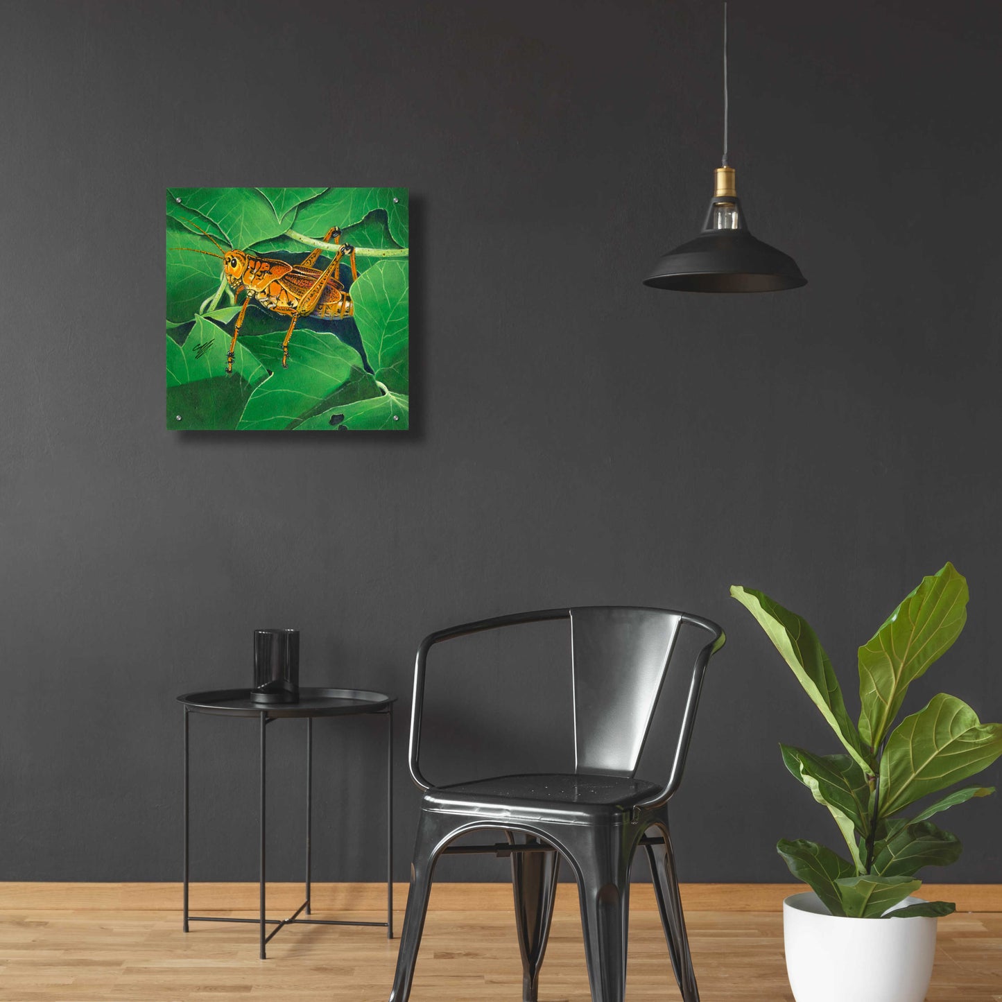 Epic Art 'Grasshopper' by Durwood Coffey, Acrylic Glass Wall Art,24x24