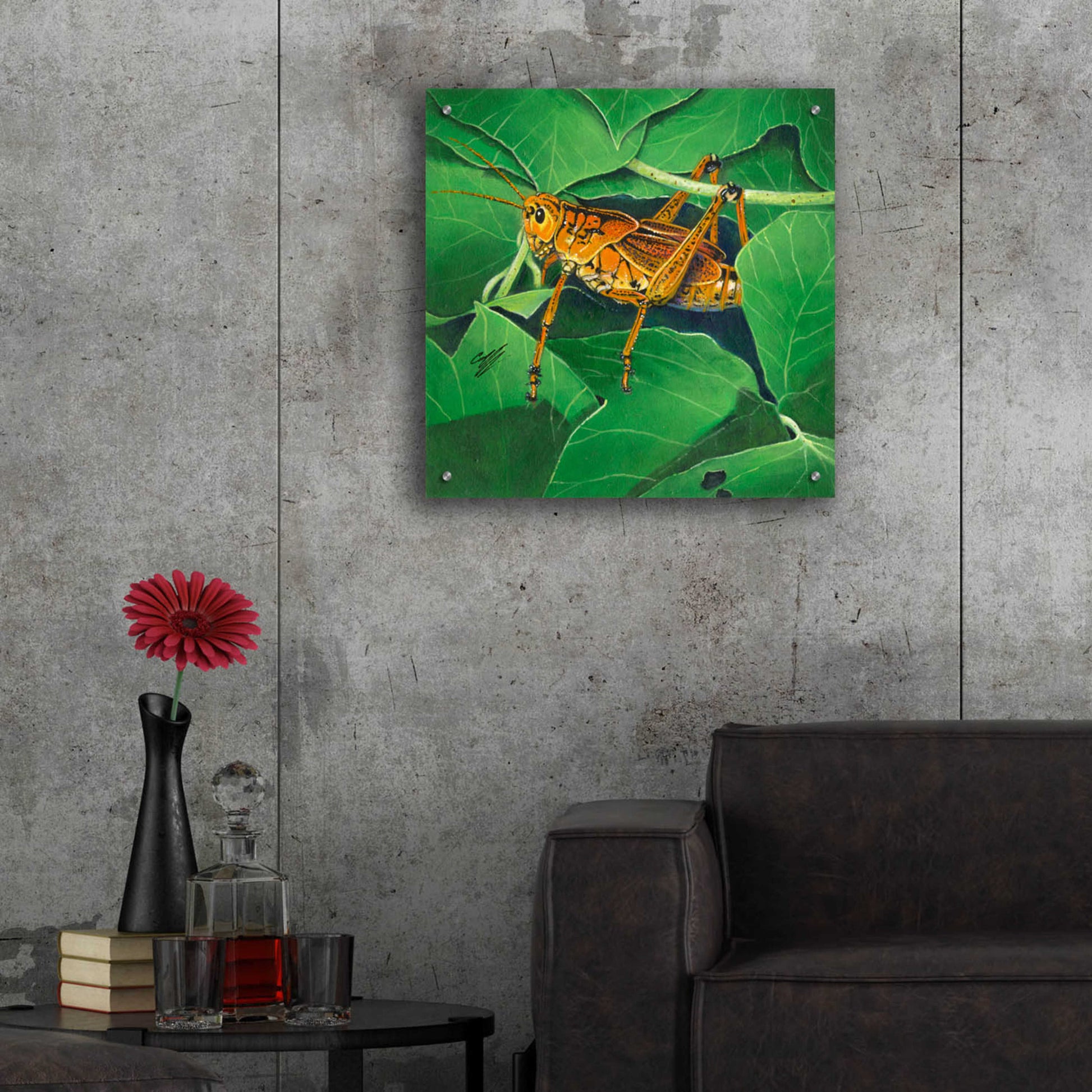 Epic Art 'Grasshopper' by Durwood Coffey, Acrylic Glass Wall Art,24x24