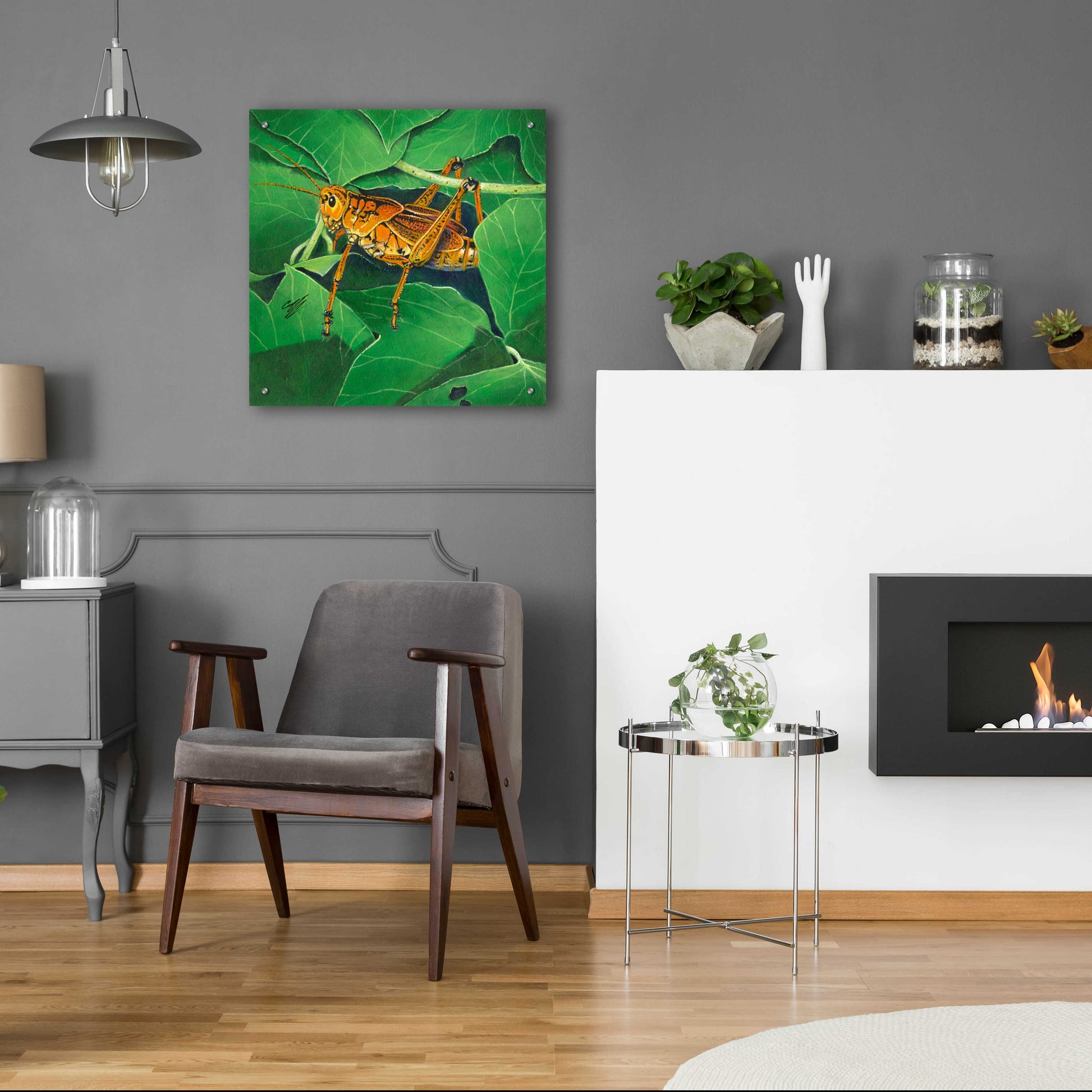 Epic Art 'Grasshopper' by Durwood Coffey, Acrylic Glass Wall Art,24x24