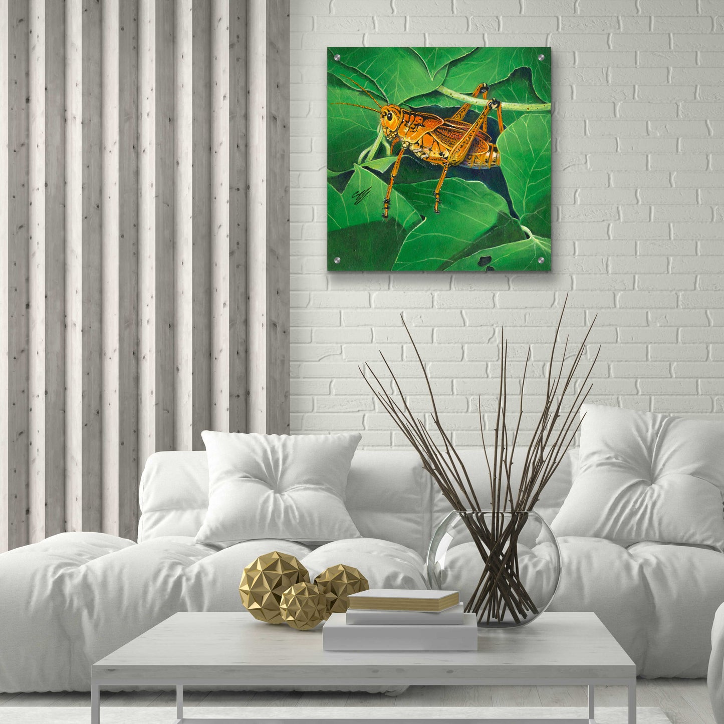 Epic Art 'Grasshopper' by Durwood Coffey, Acrylic Glass Wall Art,24x24