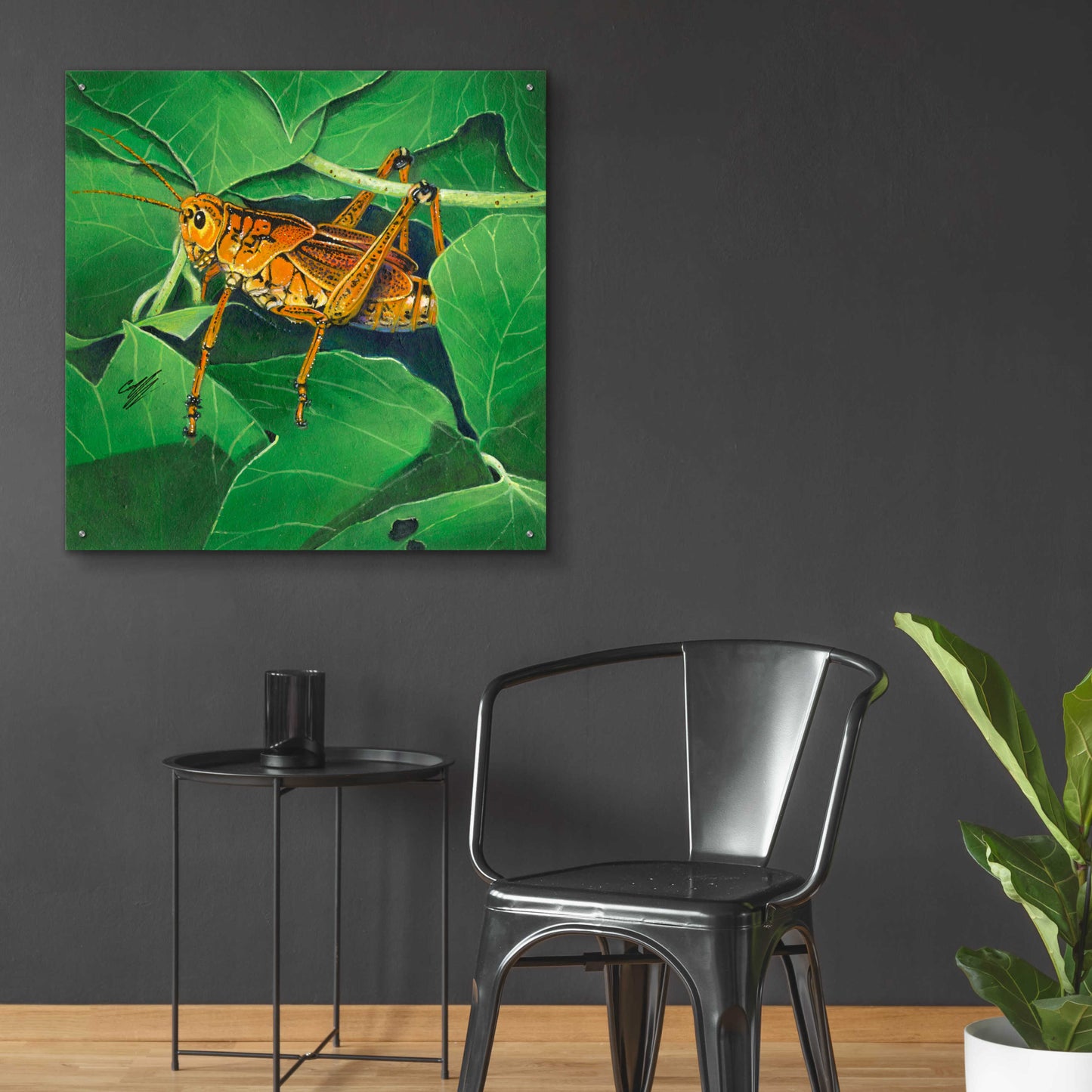 Epic Art 'Grasshopper' by Durwood Coffey, Acrylic Glass Wall Art,36x36