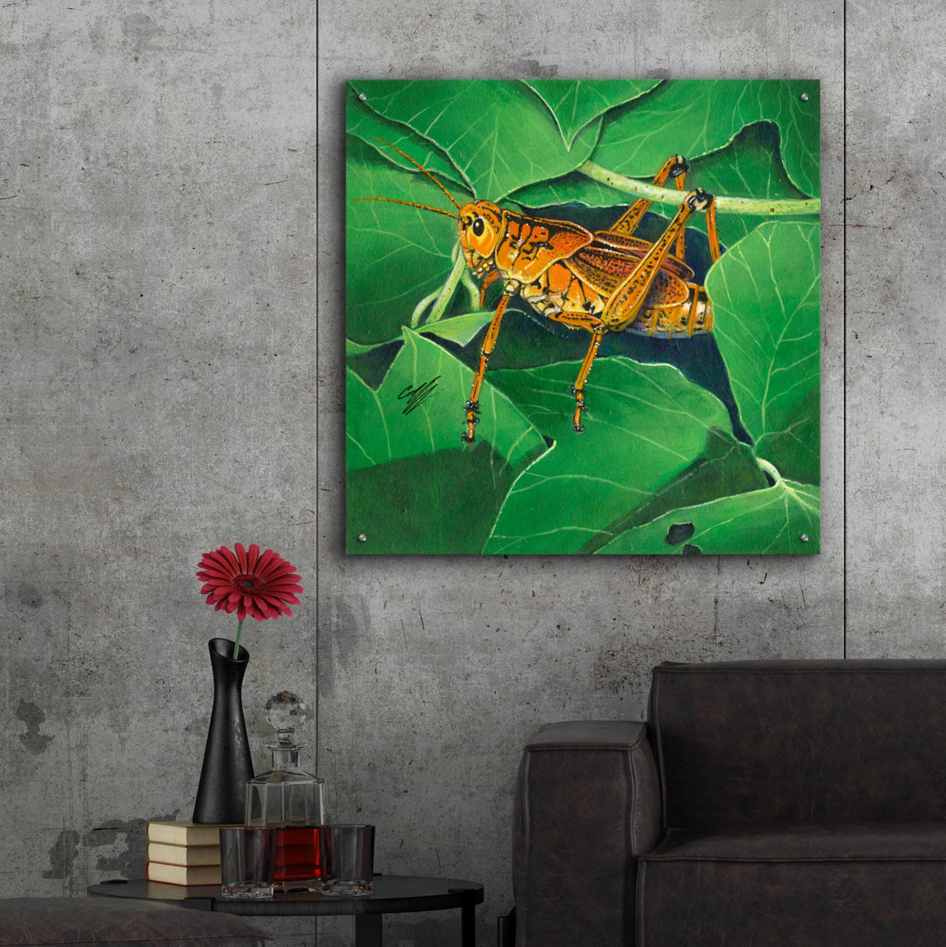 Epic Art 'Grasshopper' by Durwood Coffey, Acrylic Glass Wall Art,36x36