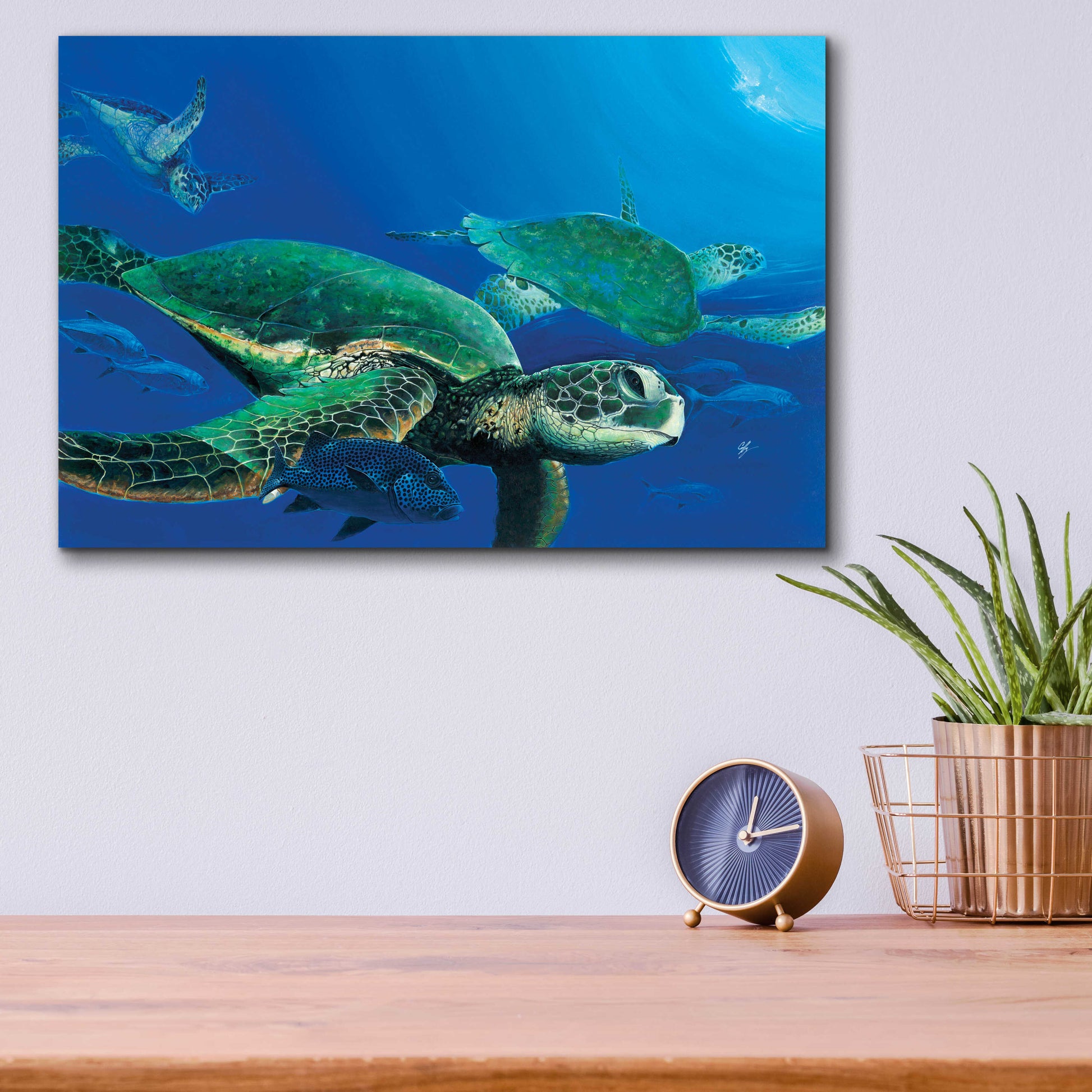 Epic Art 'Green Sea Turtles' by Durwood Coffey, Acrylic Glass Wall Art,16x12