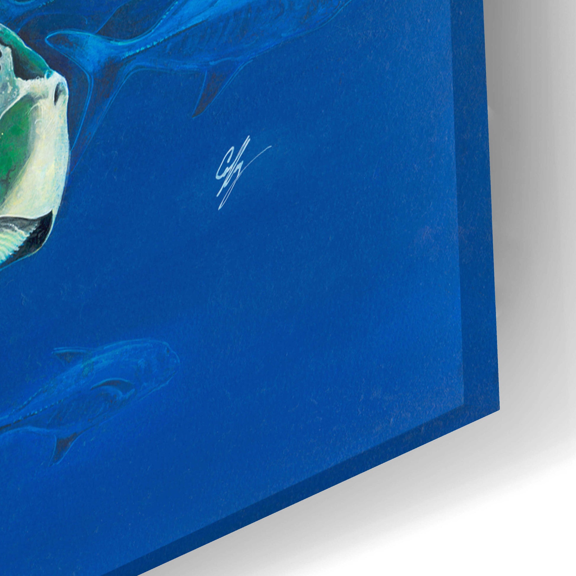 Epic Art 'Green Sea Turtles' by Durwood Coffey, Acrylic Glass Wall Art,24x16