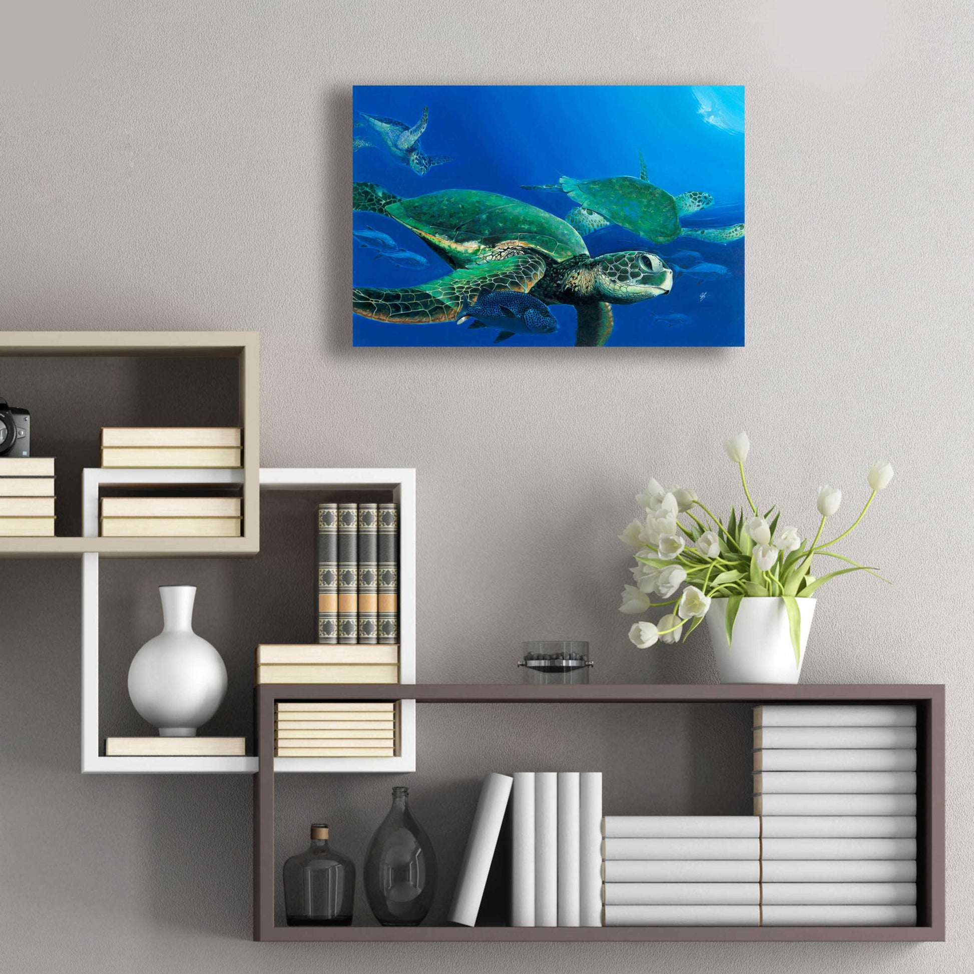 Epic Art 'Green Sea Turtles' by Durwood Coffey, Acrylic Glass Wall Art,24x16