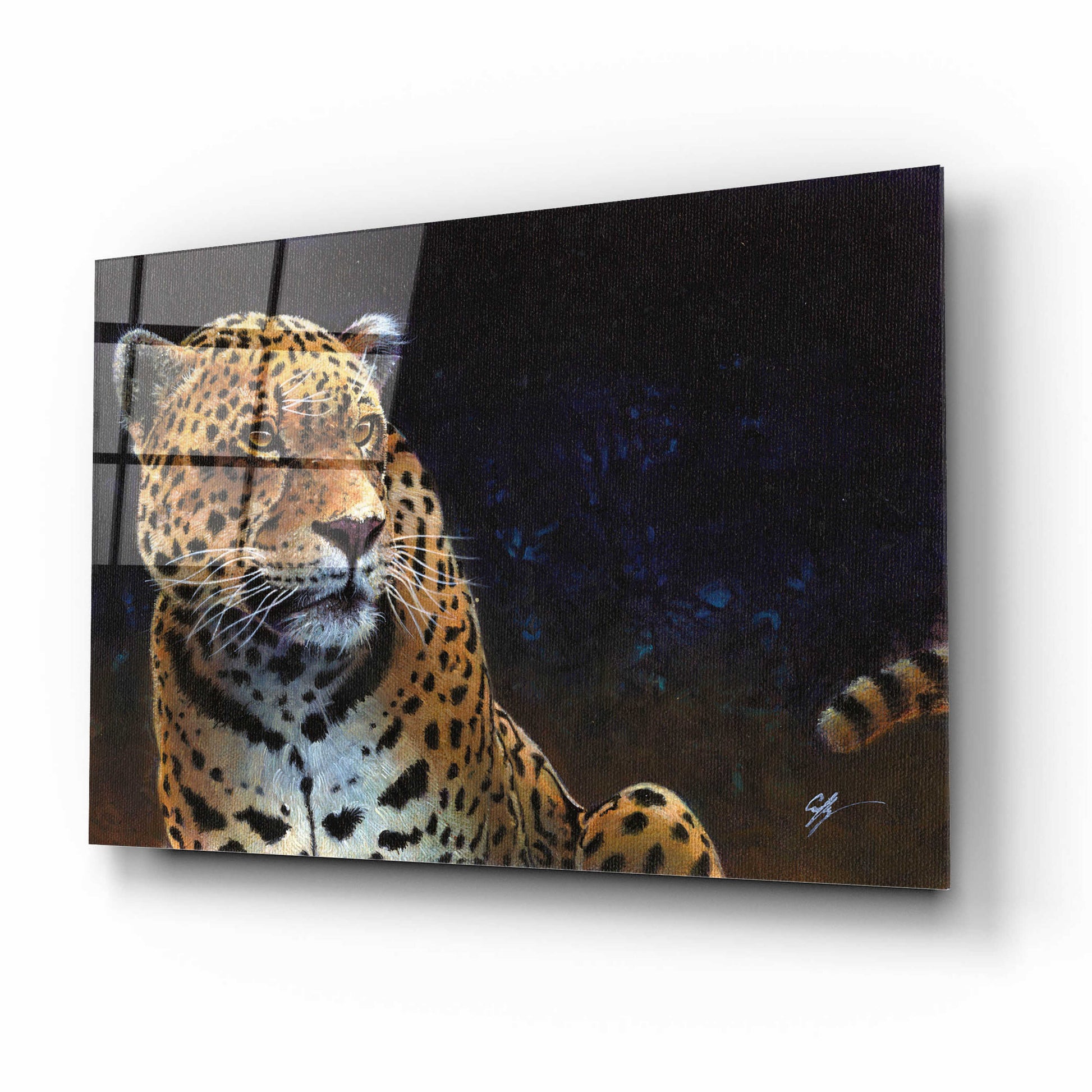 Epic Art 'Jaguar' by Durwood Coffey, Acrylic Glass Wall Art,16x12