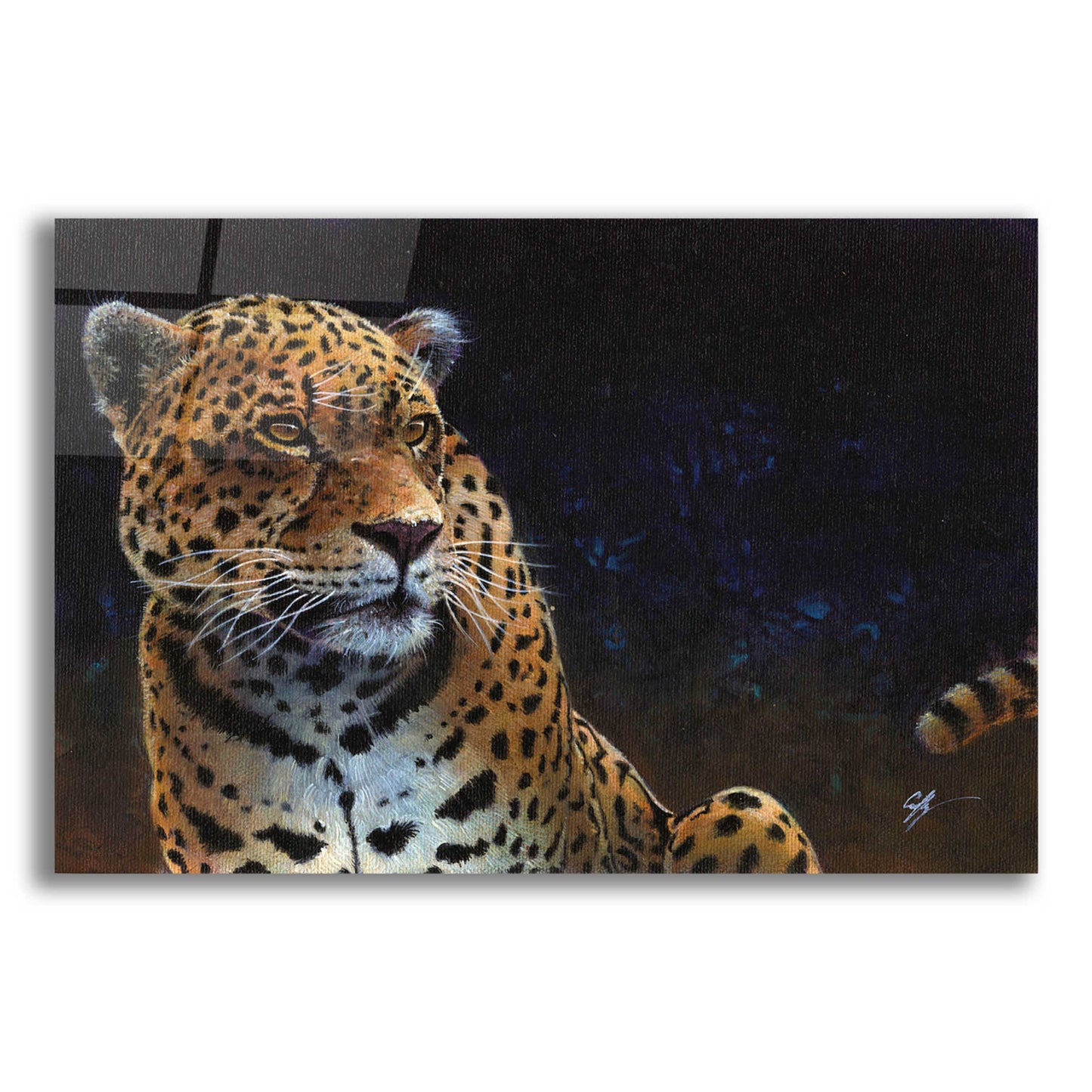 Epic Art 'Jaguar' by Durwood Coffey, Acrylic Glass Wall Art,24x16