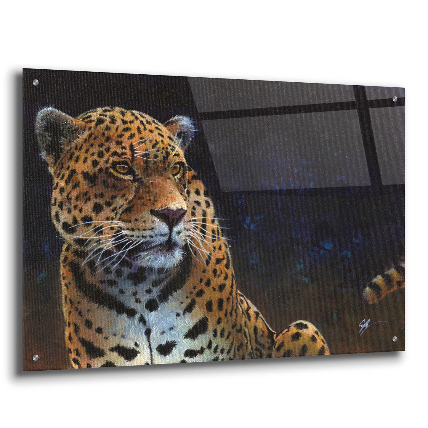 Epic Art 'Jaguar' by Durwood Coffey, Acrylic Glass Wall Art,36x24