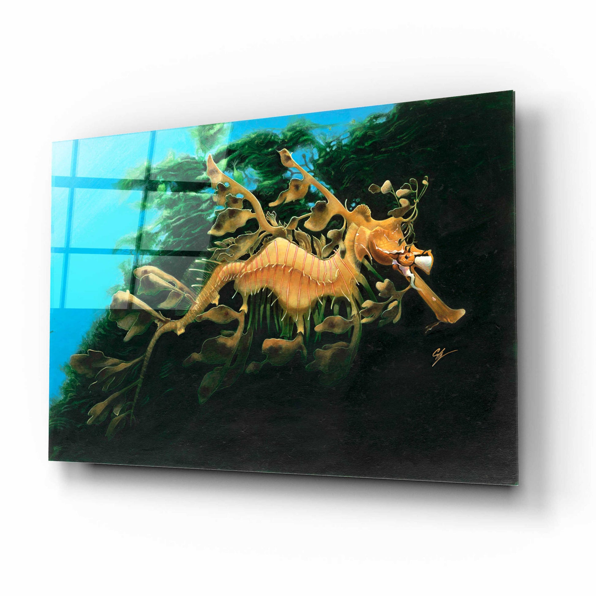 Epic Art 'Leafly Sea Dragon' by Durwood Coffey, Acrylic Glass Wall Art,16x12