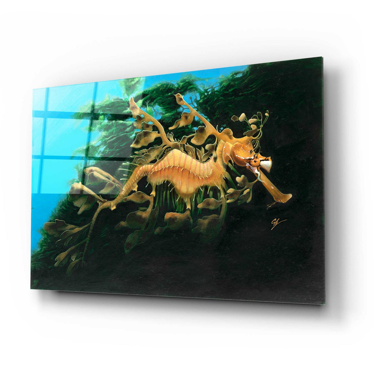 Epic Art 'Leafly Sea Dragon' by Durwood Coffey, Acrylic Glass Wall Art,24x16