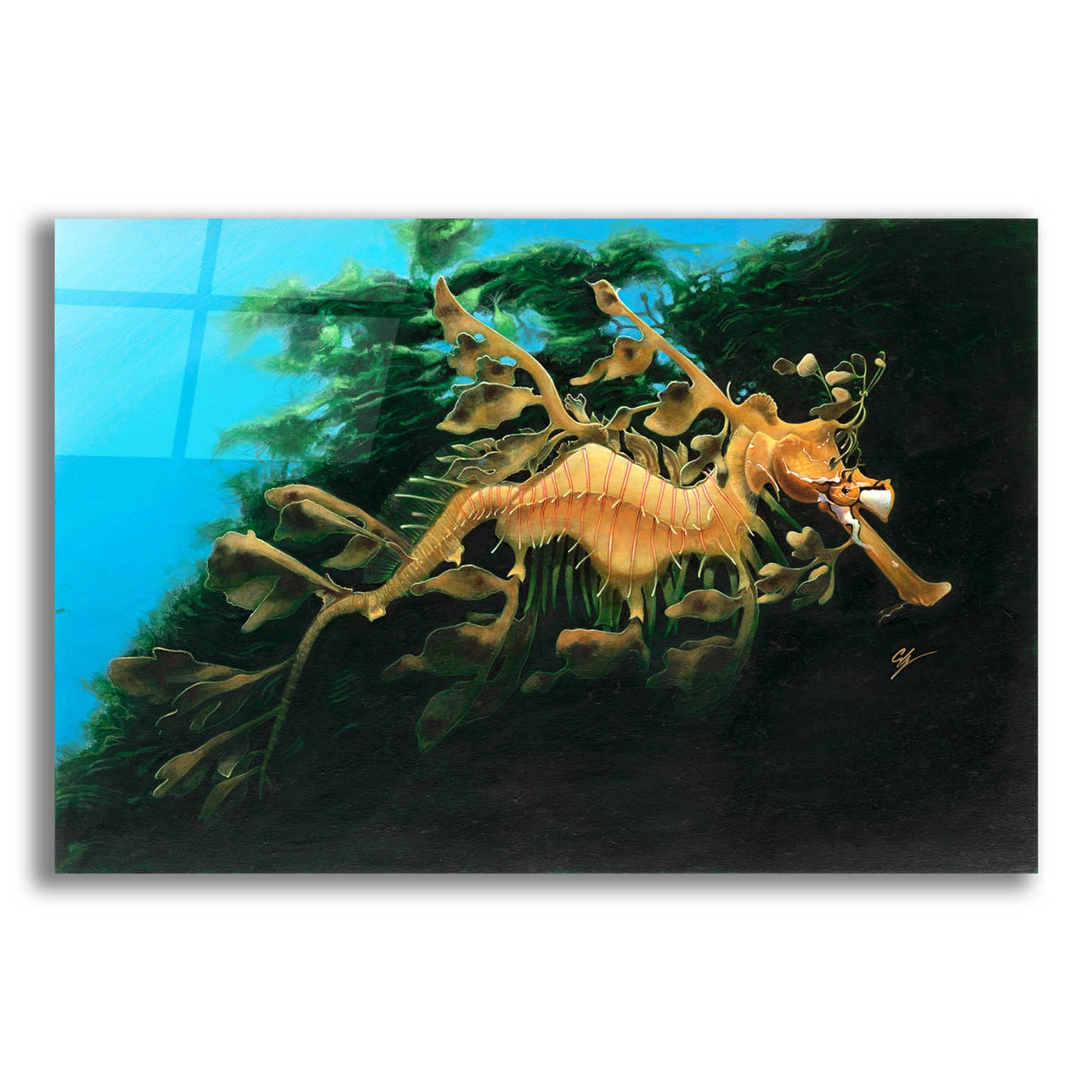 Epic Art 'Leafly Sea Dragon' by Durwood Coffey, Acrylic Glass Wall Art,24x16