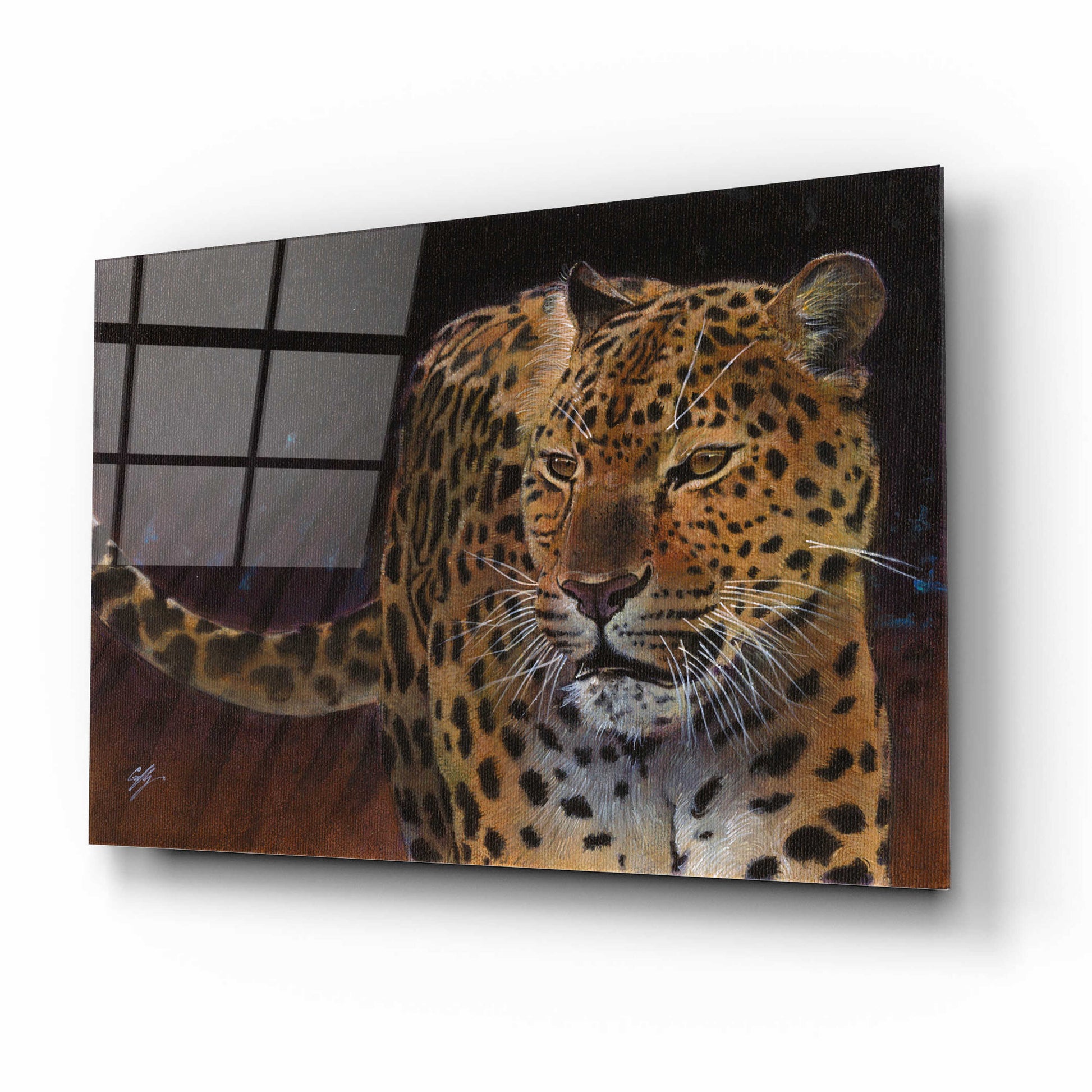 Epic Art 'Leopard' by Durwood Coffey, Acrylic Glass Wall Art,16x12