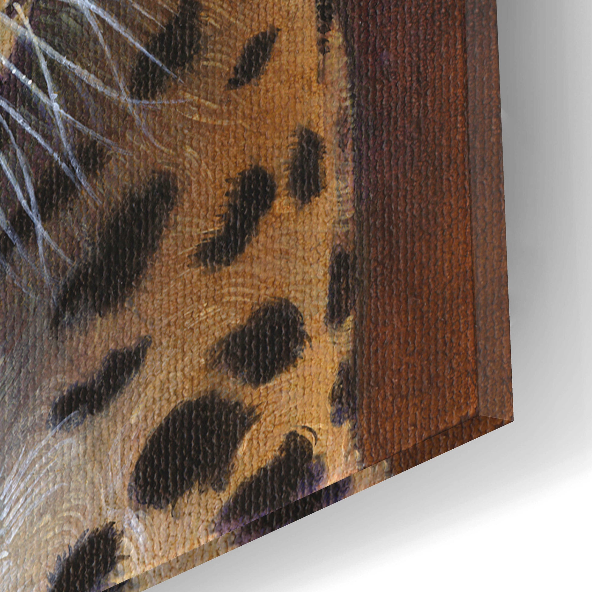 Epic Art 'Leopard' by Durwood Coffey, Acrylic Glass Wall Art,16x12