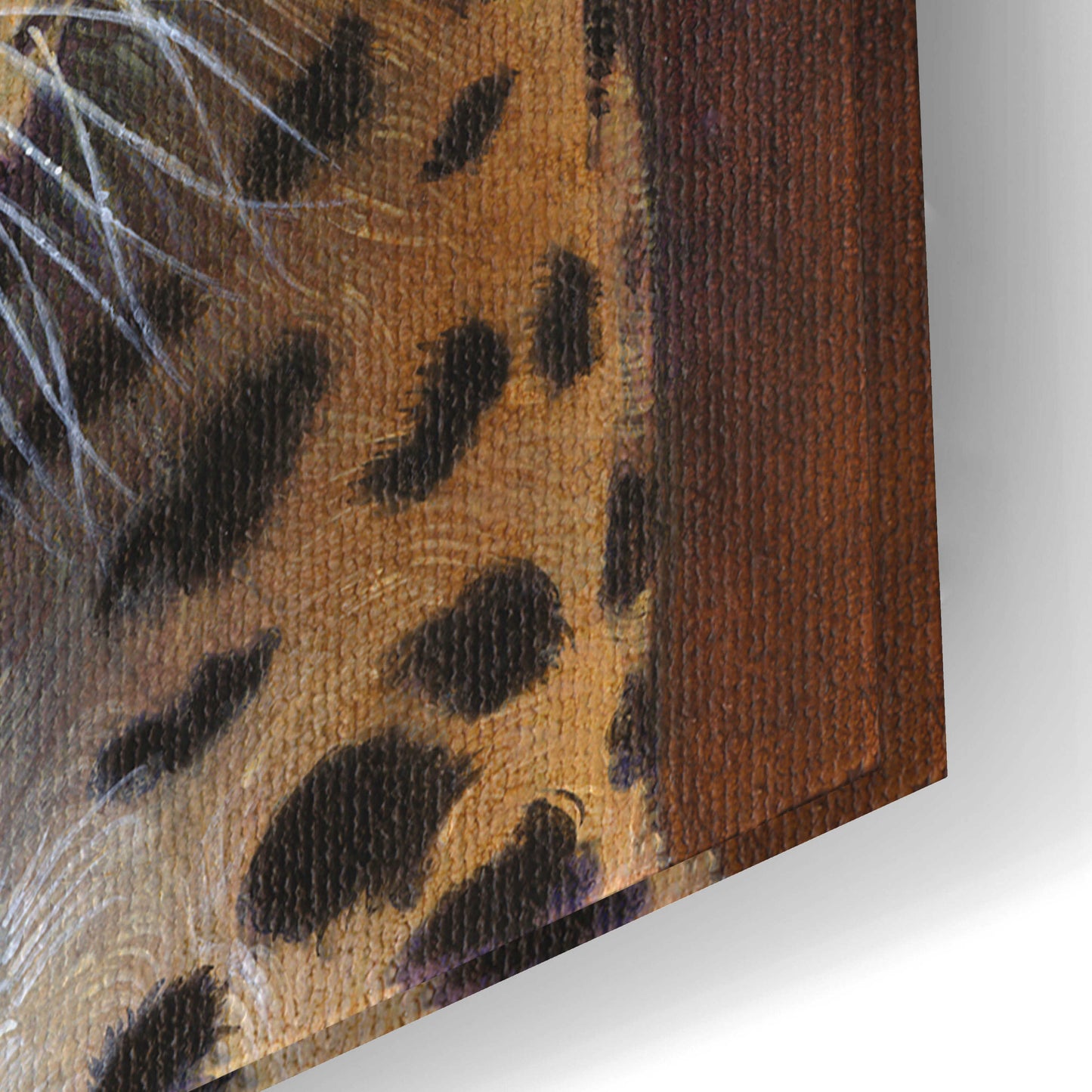 Epic Art 'Leopard' by Durwood Coffey, Acrylic Glass Wall Art,24x16