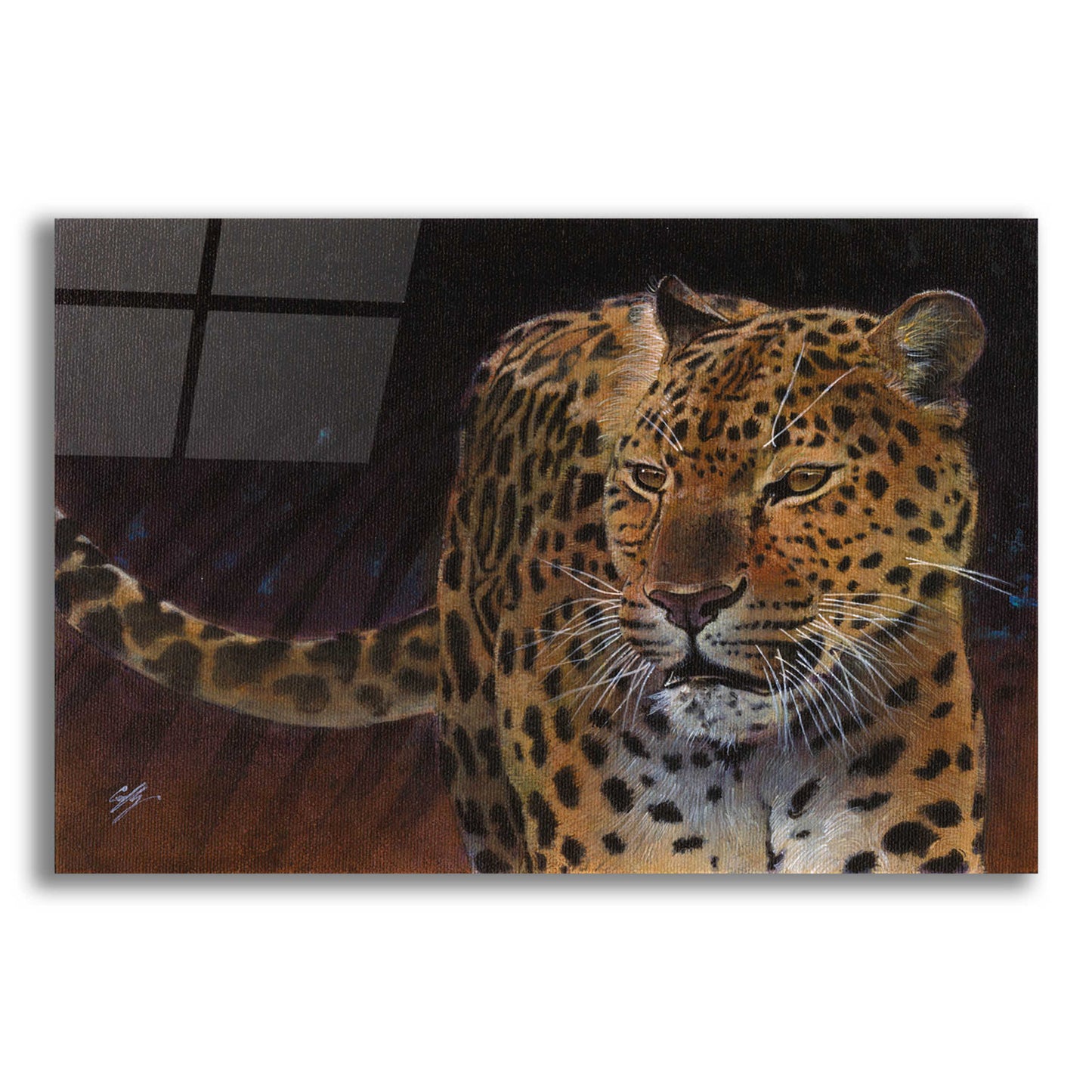 Epic Art 'Leopard' by Durwood Coffey, Acrylic Glass Wall Art,24x16