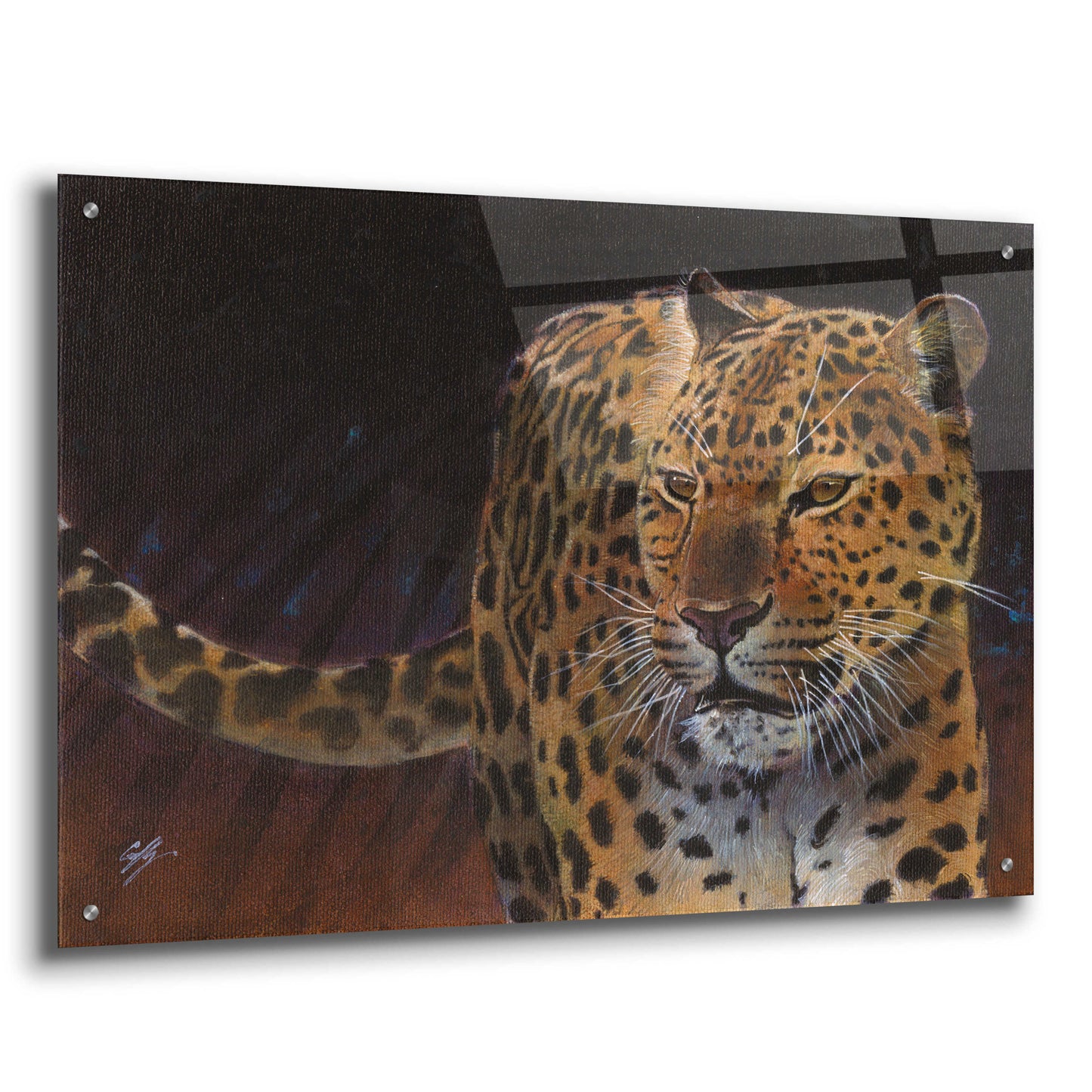 Epic Art 'Leopard' by Durwood Coffey, Acrylic Glass Wall Art,36x24