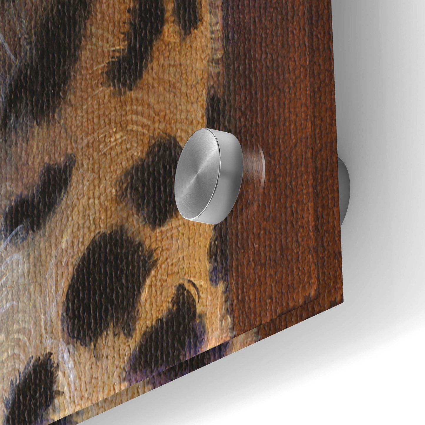 Epic Art 'Leopard' by Durwood Coffey, Acrylic Glass Wall Art,36x24