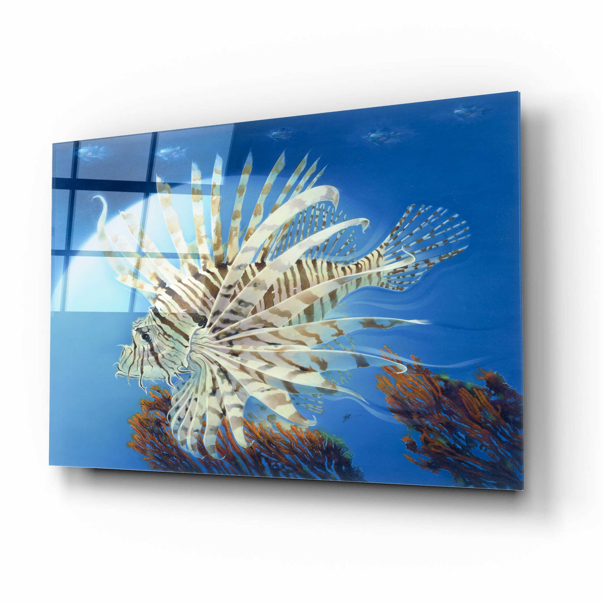 Epic Art 'Lion Fish' by Durwood Coffey, Acrylic Glass Wall Art,16x12