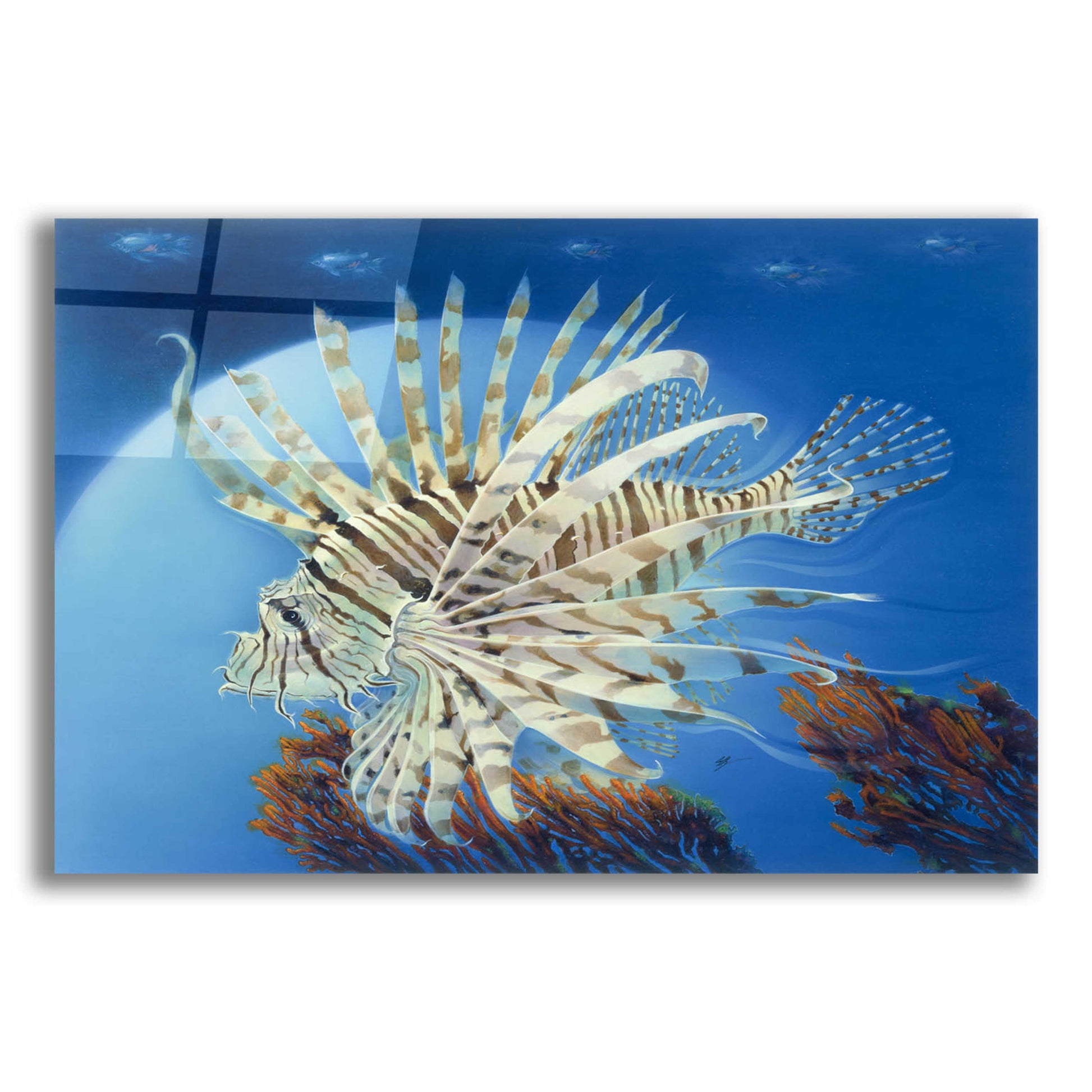 Epic Art 'Lion Fish' by Durwood Coffey, Acrylic Glass Wall Art,24x16