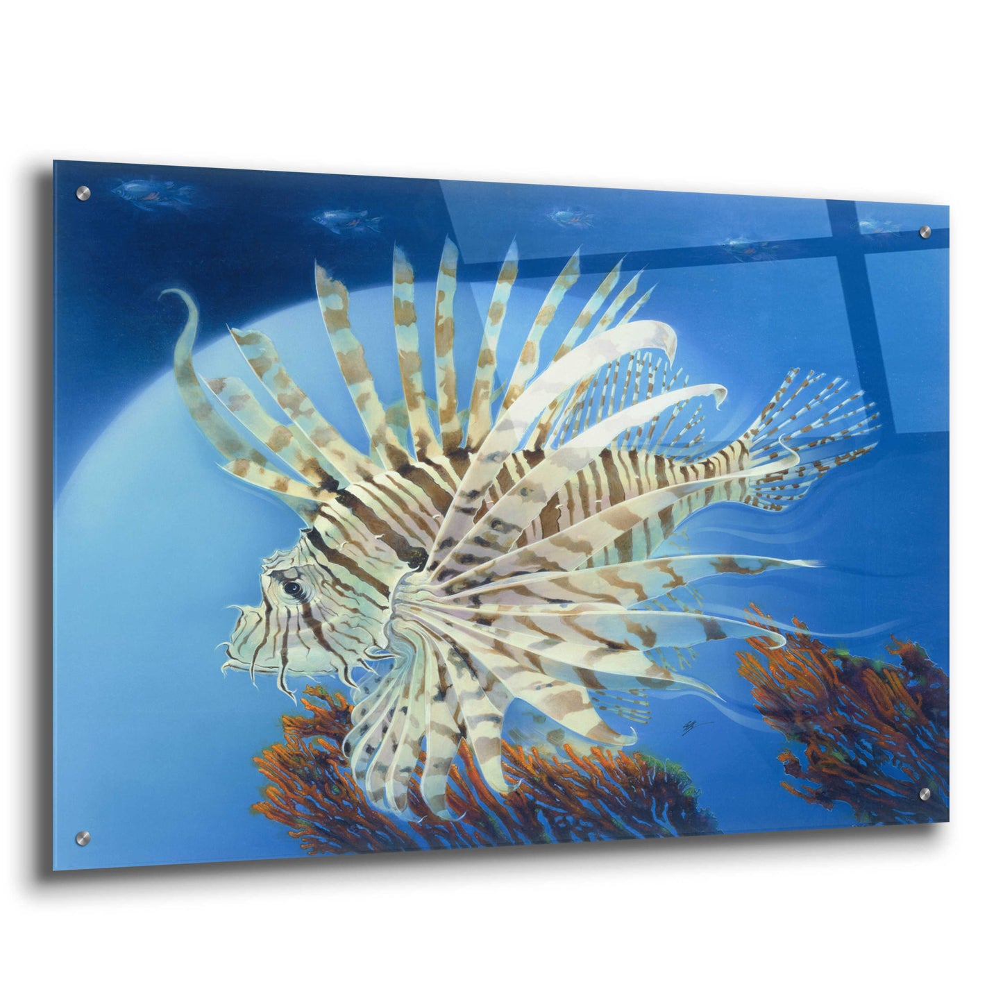 Epic Art 'Lion Fish' by Durwood Coffey, Acrylic Glass Wall Art,36x24