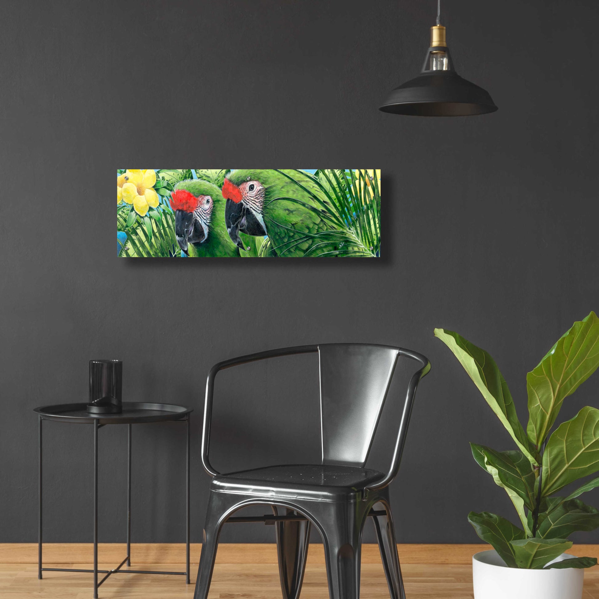 Epic Art 'Military Macaws' by Durwood Coffey, Acrylic Glass Wall Art,36x12