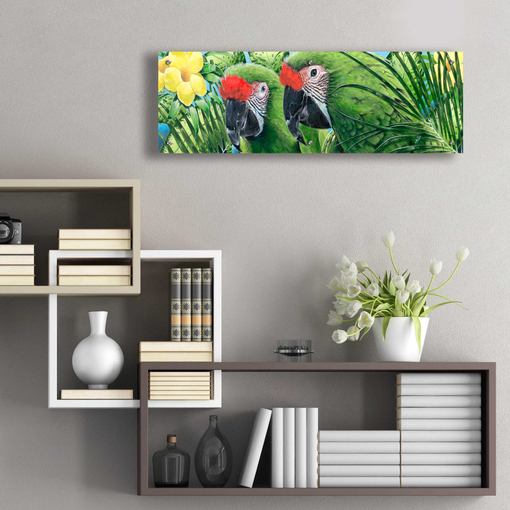 Epic Art 'Military Macaws' by Durwood Coffey, Acrylic Glass Wall Art,36x12