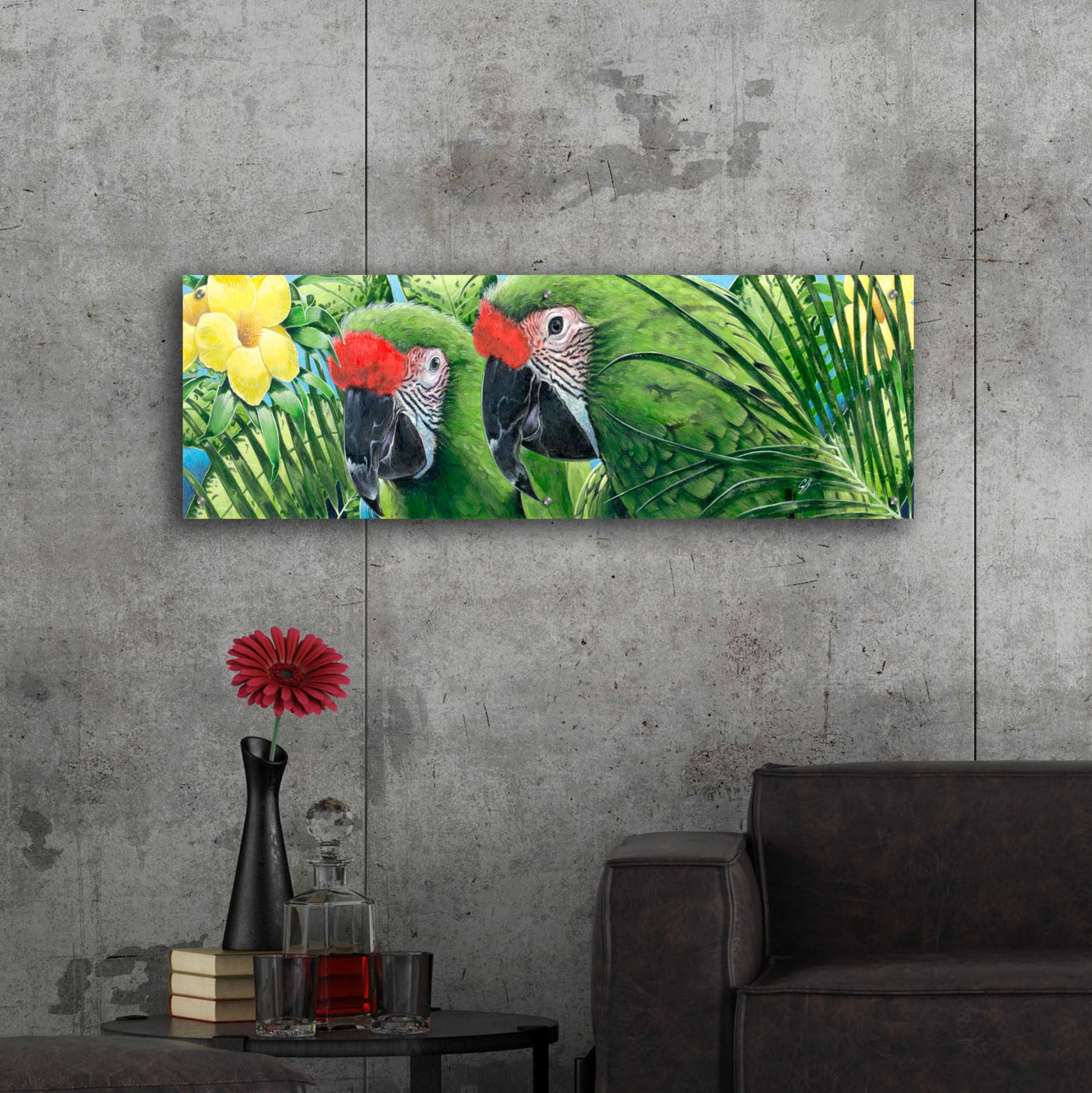 Epic Art 'Military Macaws' by Durwood Coffey, Acrylic Glass Wall Art,48x16