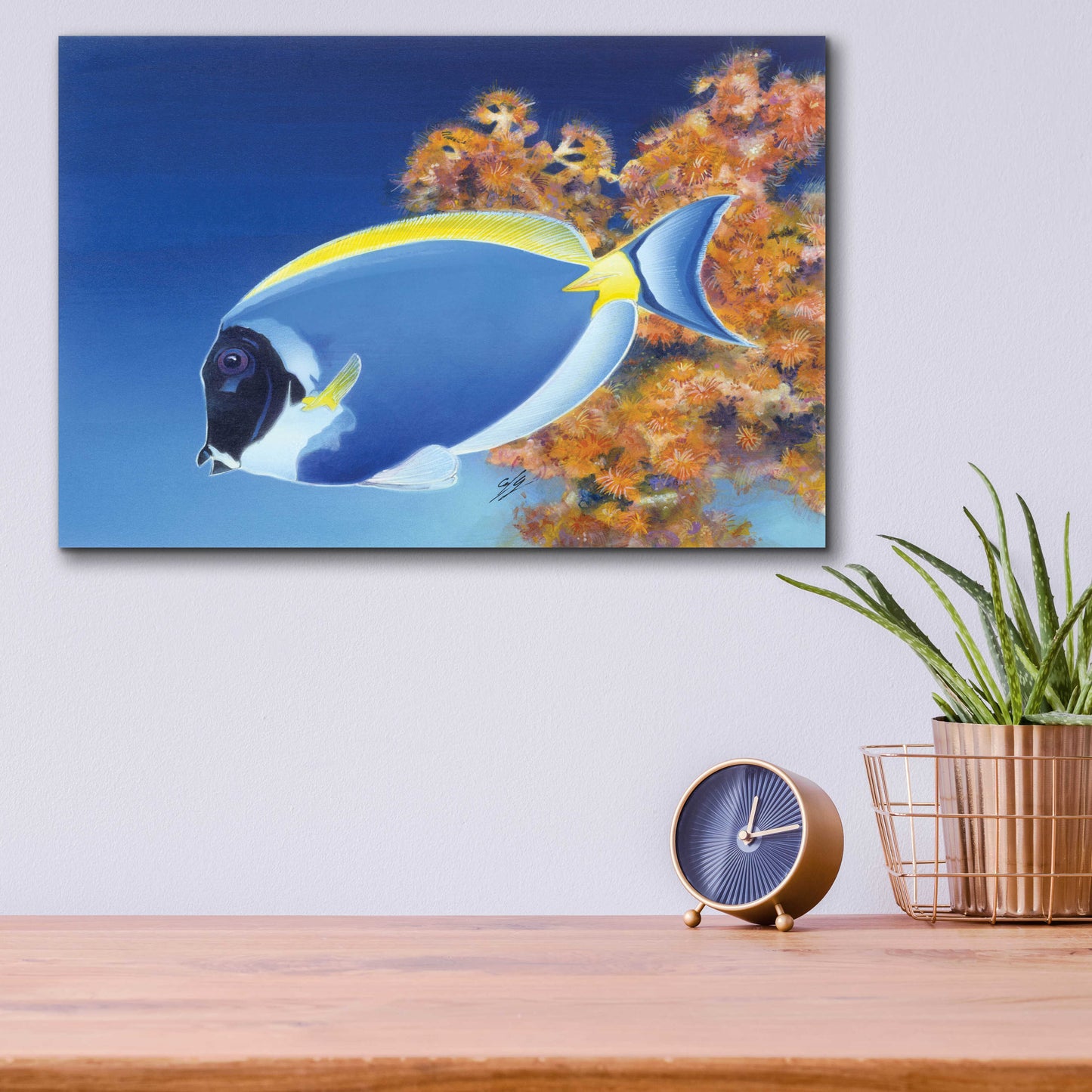 Epic Art 'Powder Blue Tang' by Durwood Coffey, Acrylic Glass Wall Art,16x12