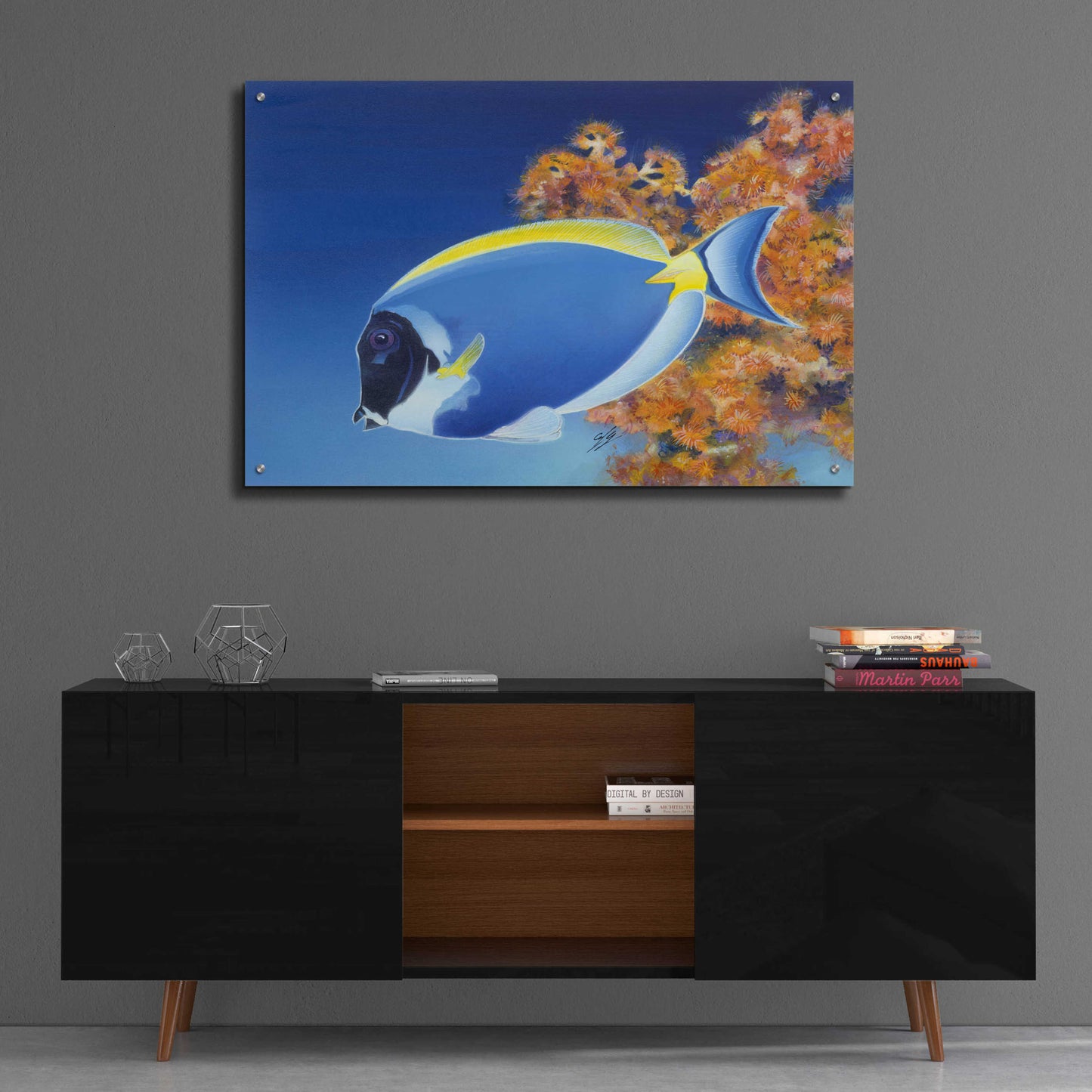 Epic Art 'Powder Blue Tang' by Durwood Coffey, Acrylic Glass Wall Art,36x24