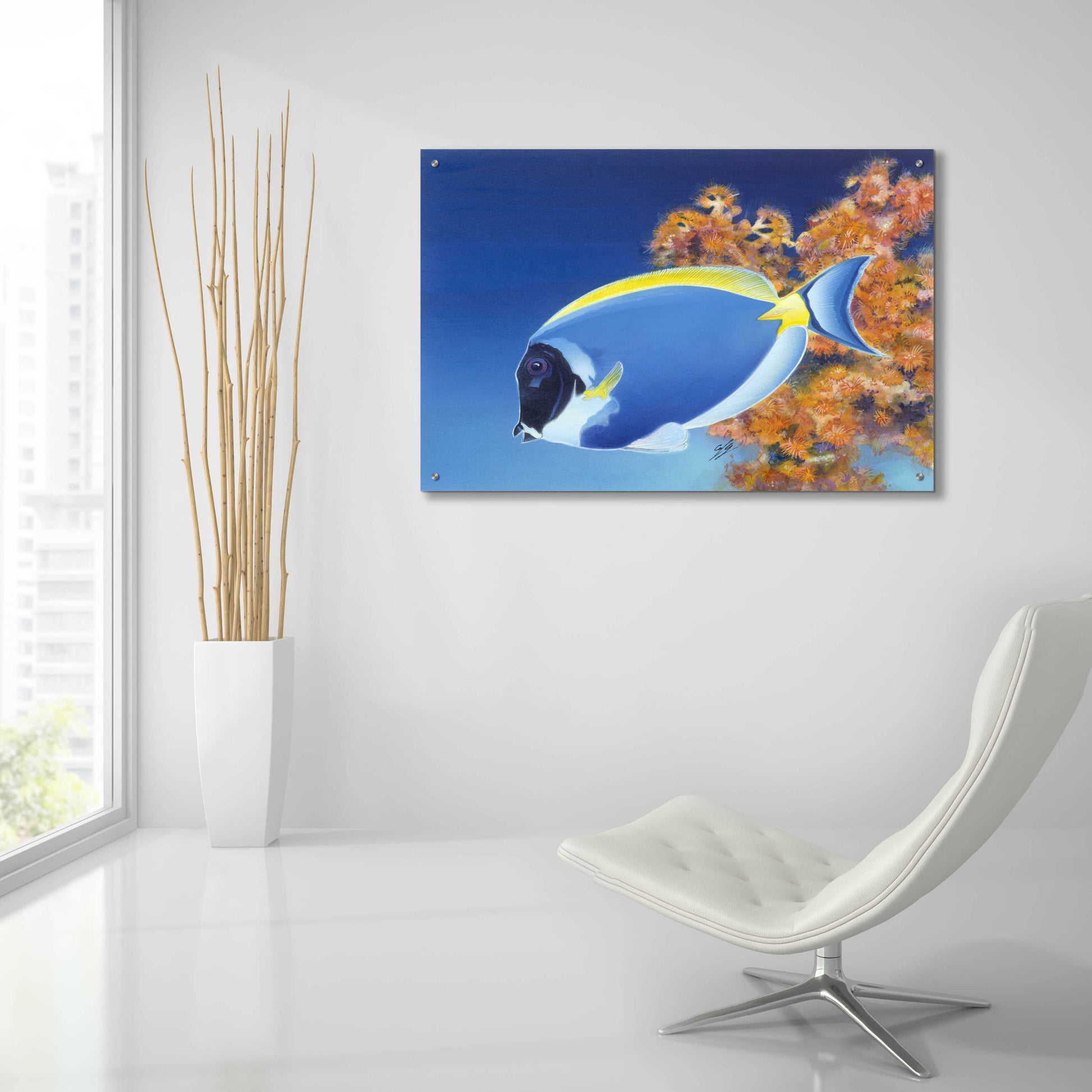 Epic Art 'Powder Blue Tang' by Durwood Coffey, Acrylic Glass Wall Art,36x24