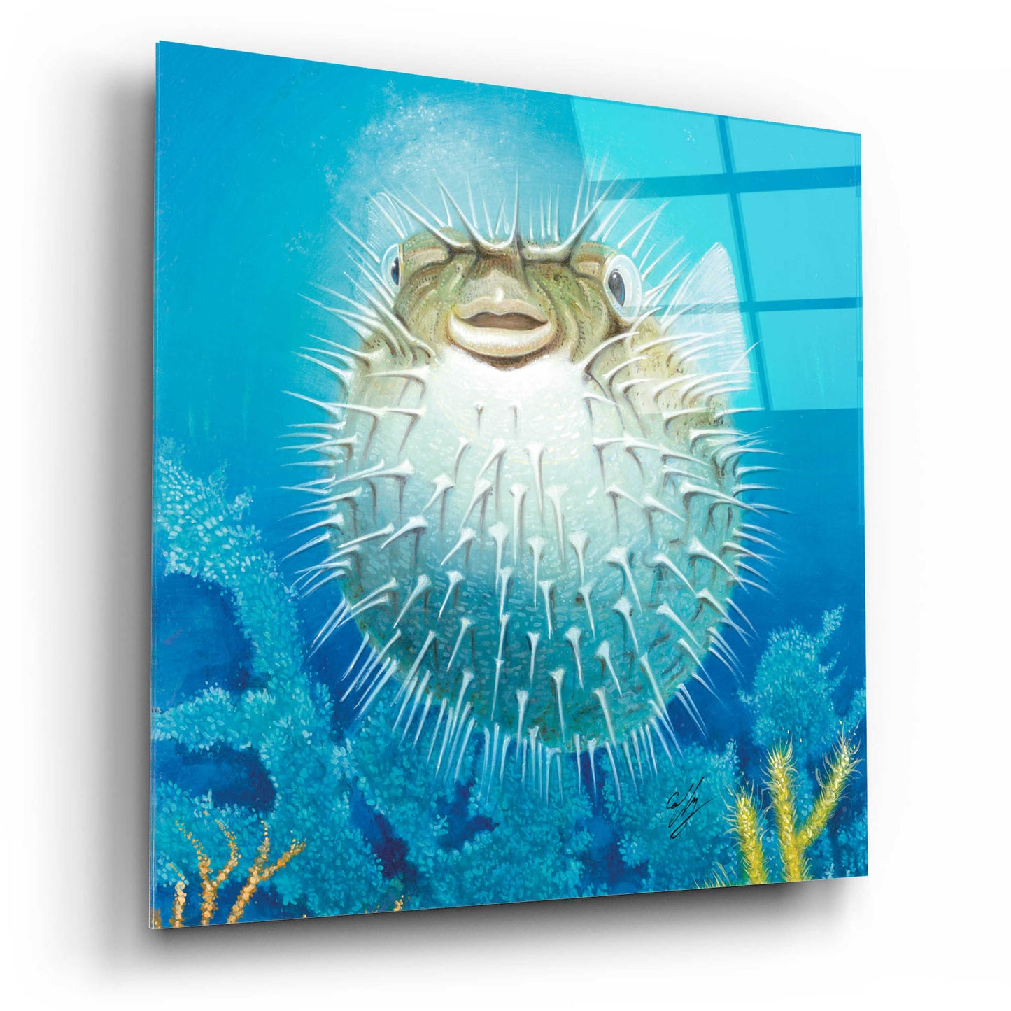 Epic Art 'Puffer Fish' by Durwood Coffey, Acrylic Glass Wall Art,12x12