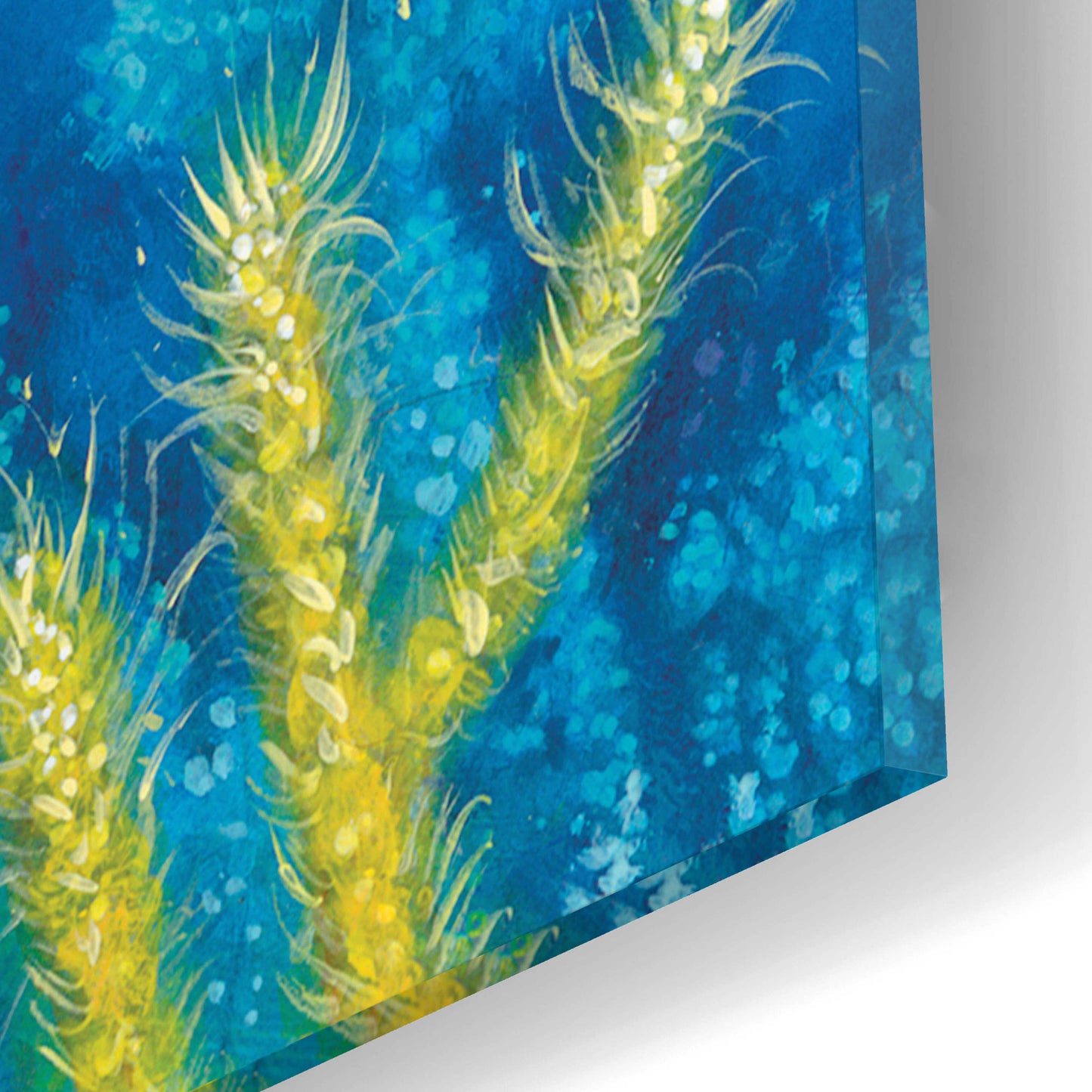 Epic Art 'Puffer Fish' by Durwood Coffey, Acrylic Glass Wall Art,12x12