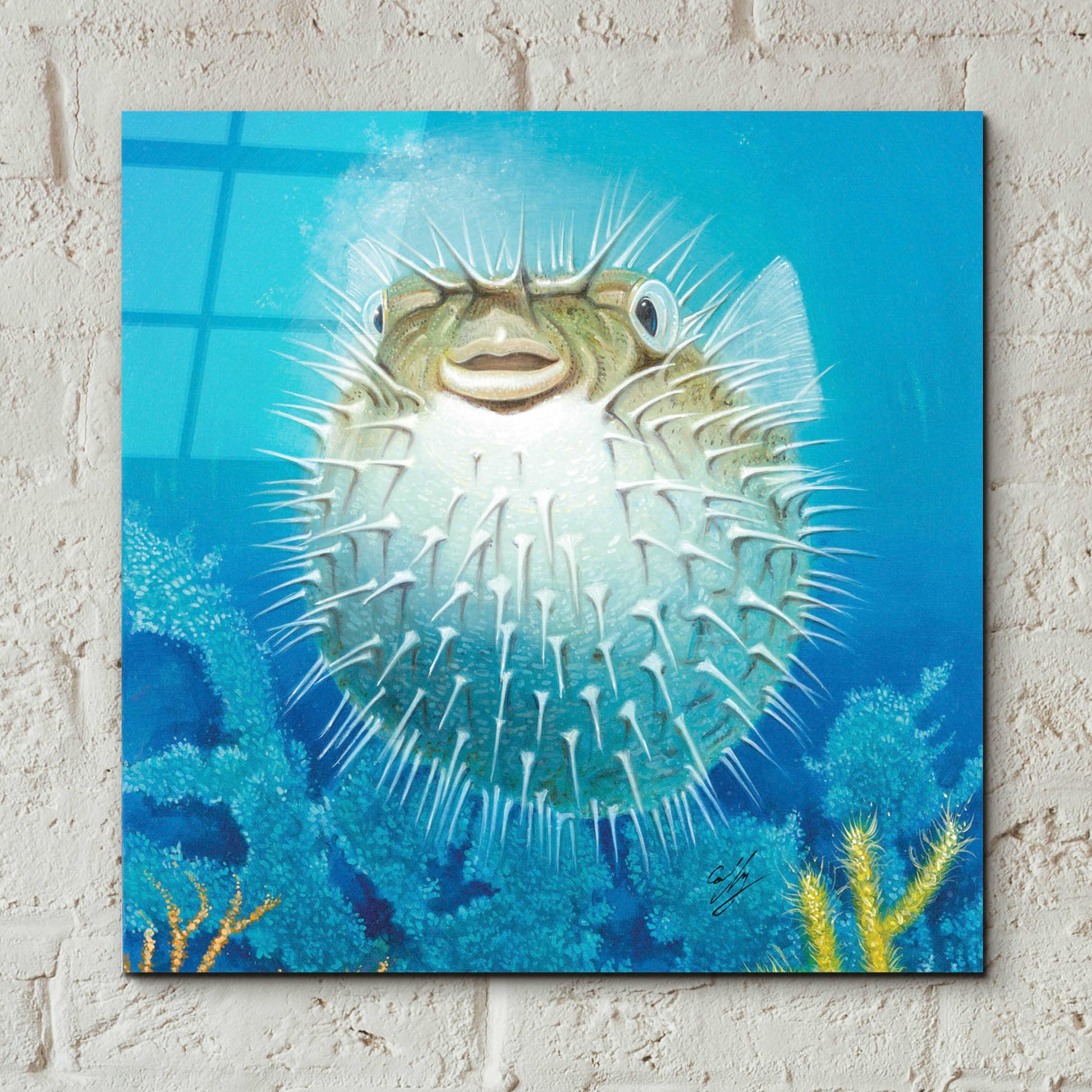 Epic Art 'Puffer Fish' by Durwood Coffey, Acrylic Glass Wall Art,12x12