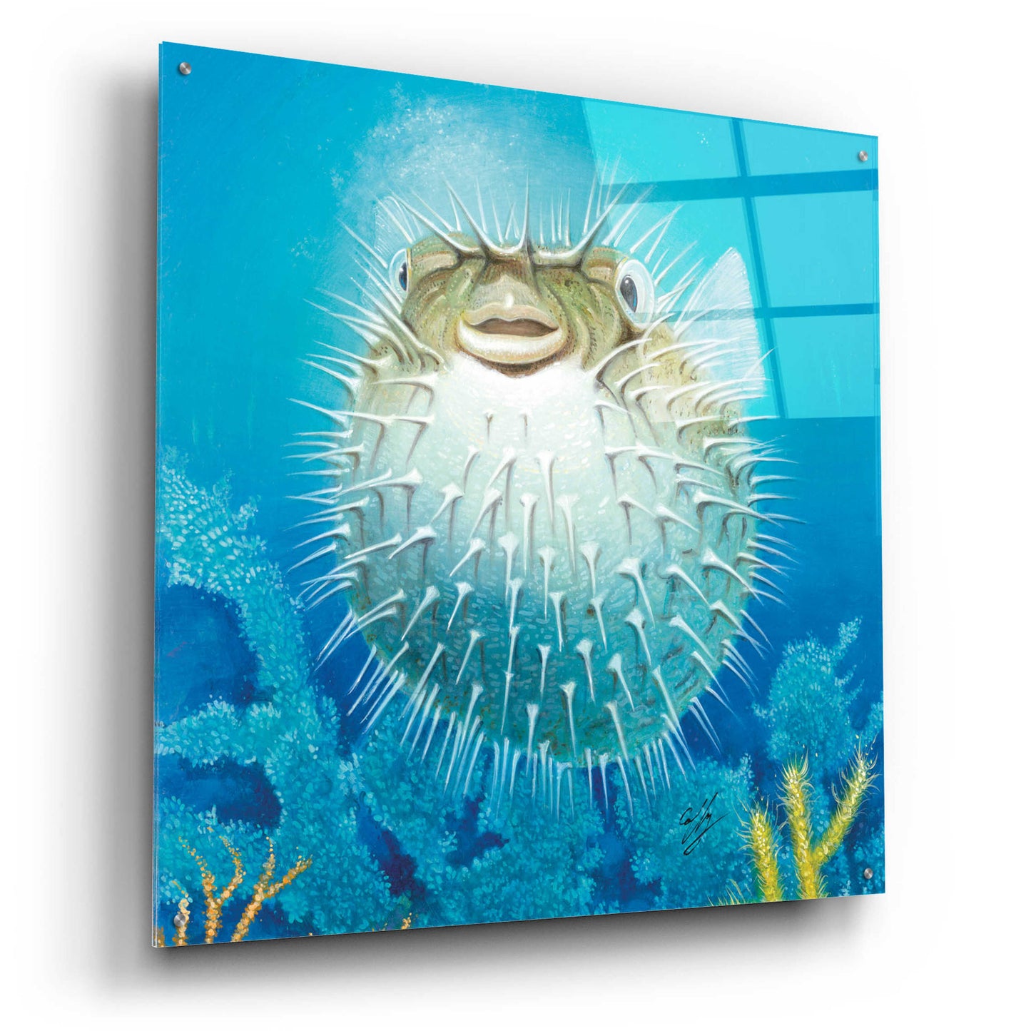 Epic Art 'Puffer Fish' by Durwood Coffey, Acrylic Glass Wall Art,36x36