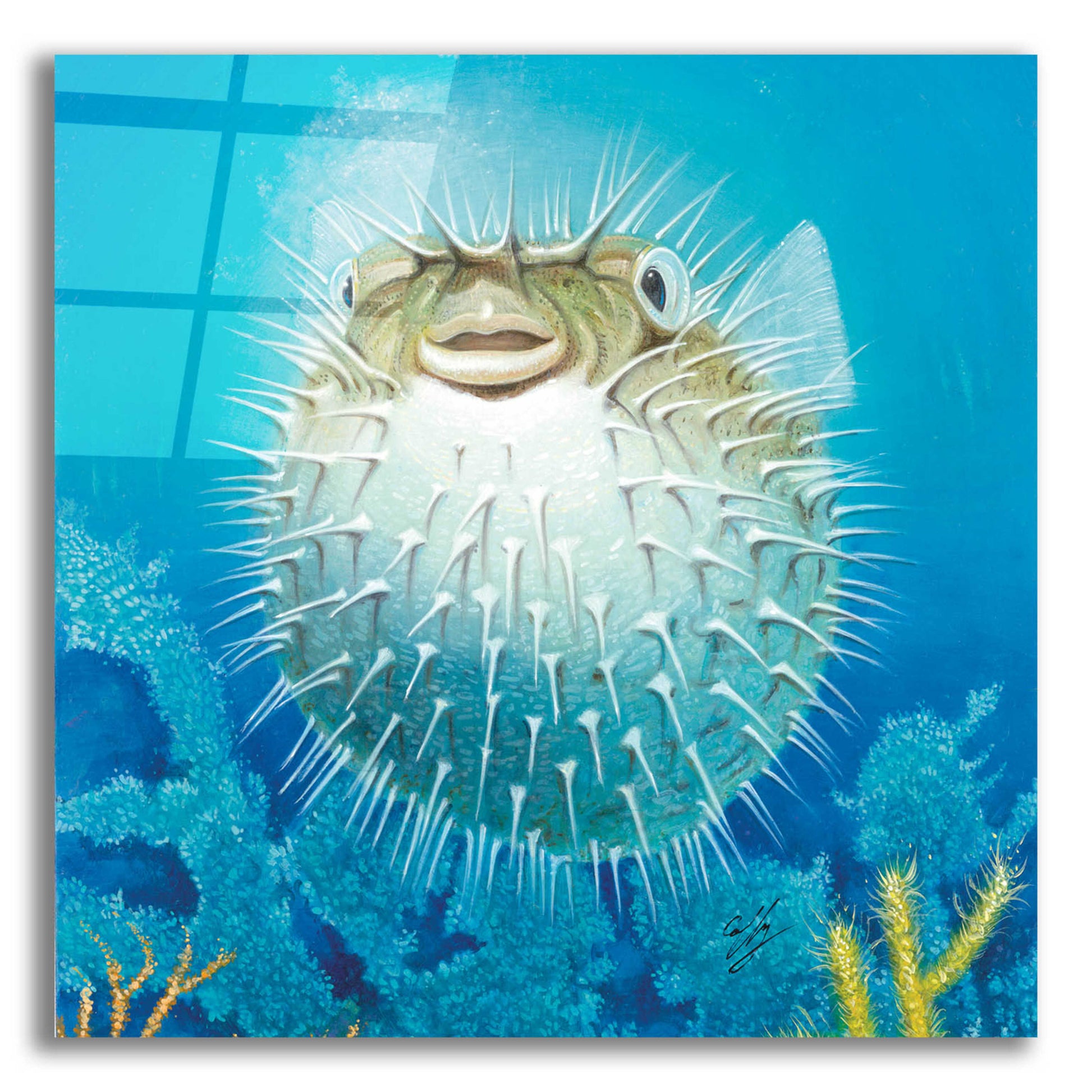 Epic Art 'Puffer Fish' by Durwood Coffey, Acrylic Glass Wall Art