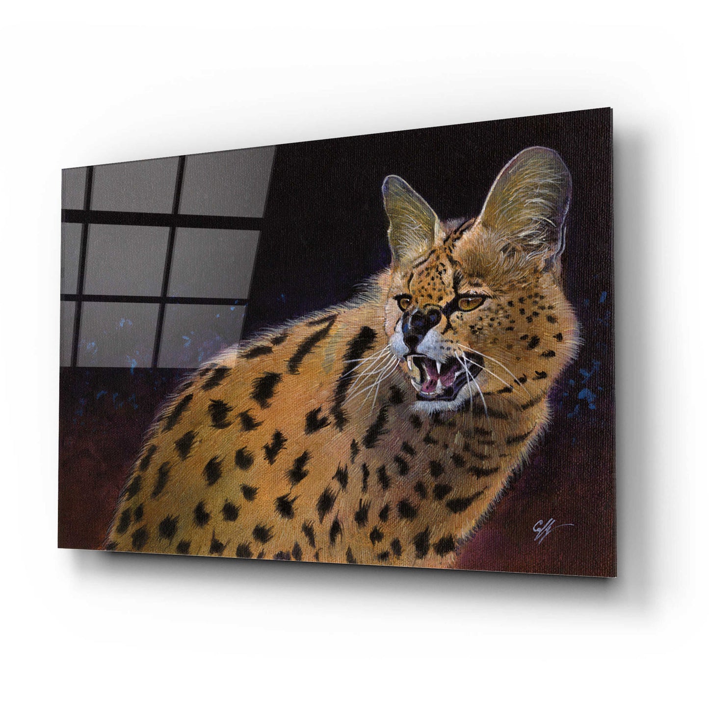 Epic Art 'Servalli' by Durwood Coffey, Acrylic Glass Wall Art,24x16