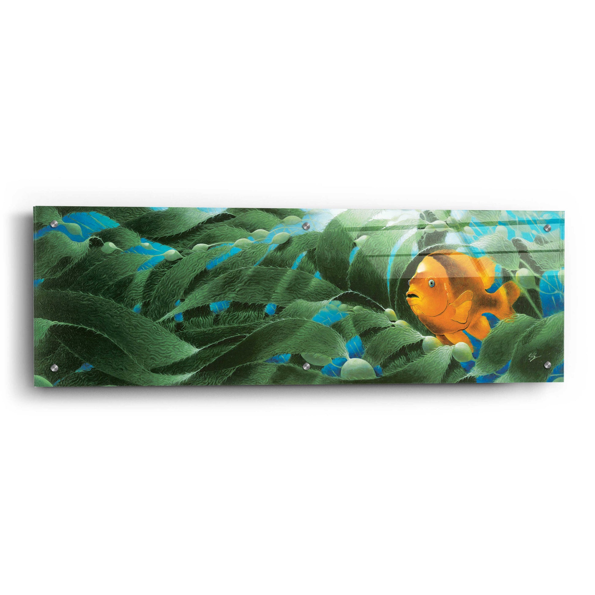 Epic Art 'The Emerald Forest' by Durwood Coffey, Acrylic Glass Wall Art,36x12