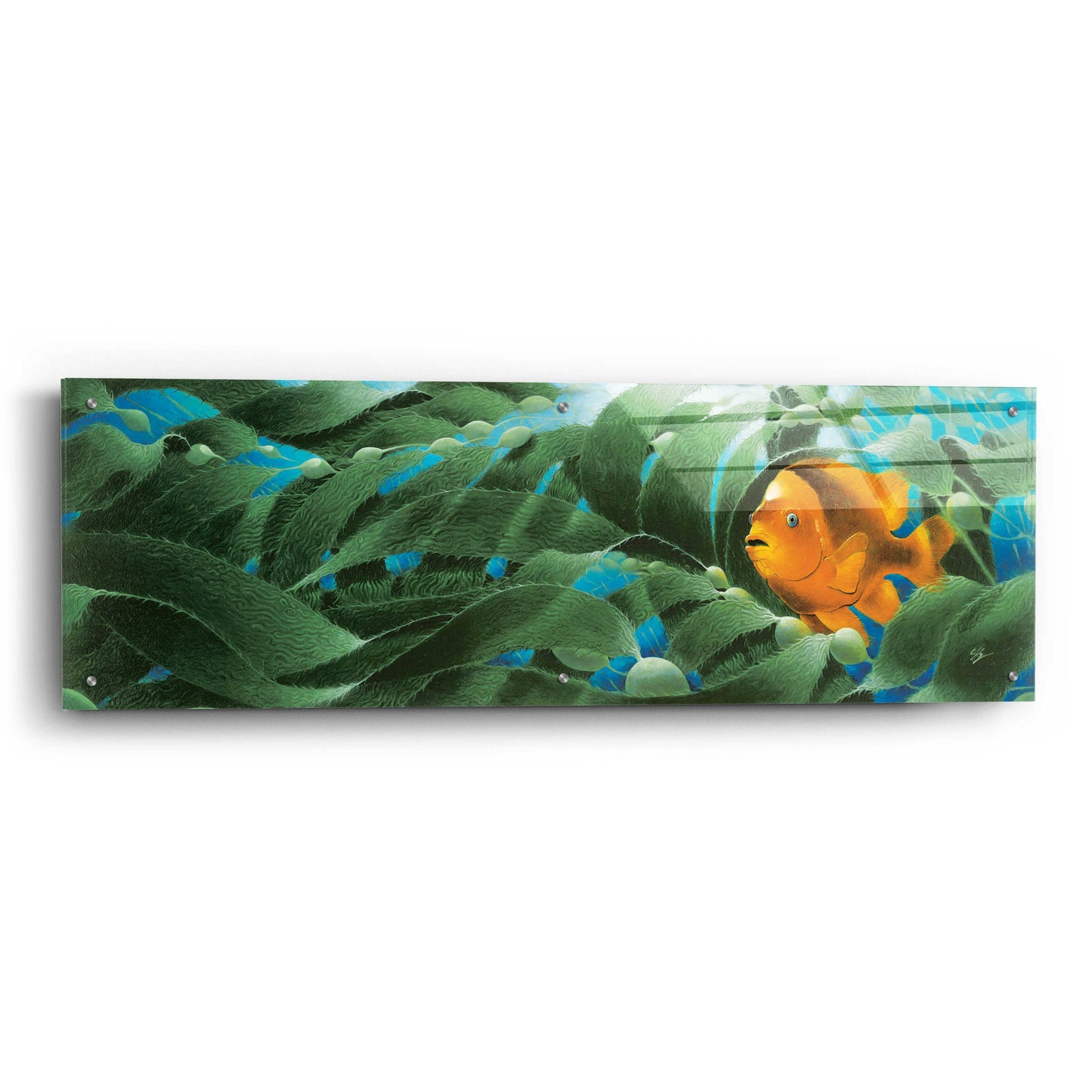 Epic Art 'The Emerald Forest' by Durwood Coffey, Acrylic Glass Wall Art,48x16