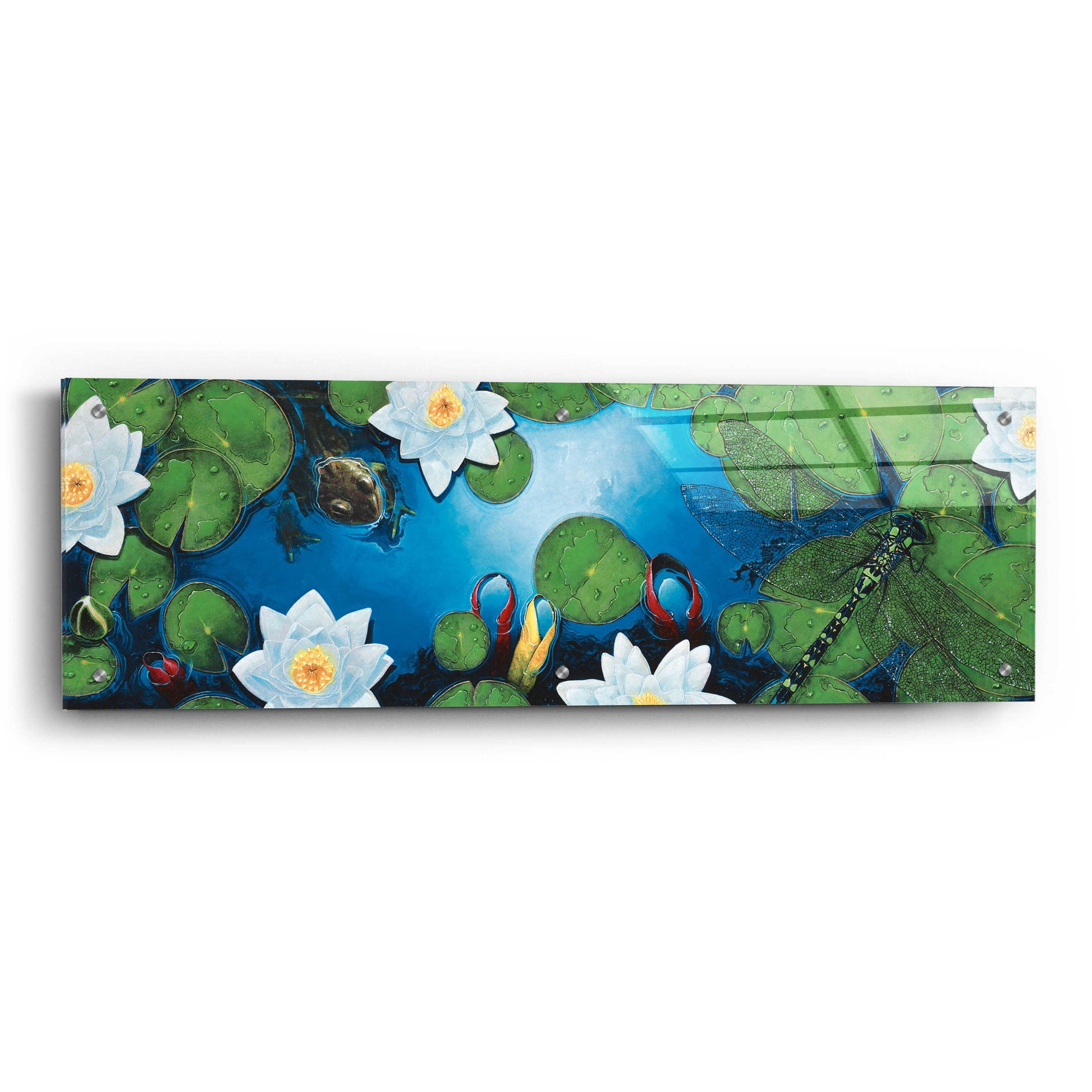 Epic Art 'The Pond' by Durwood Coffey, Acrylic Glass Wall Art,36x12