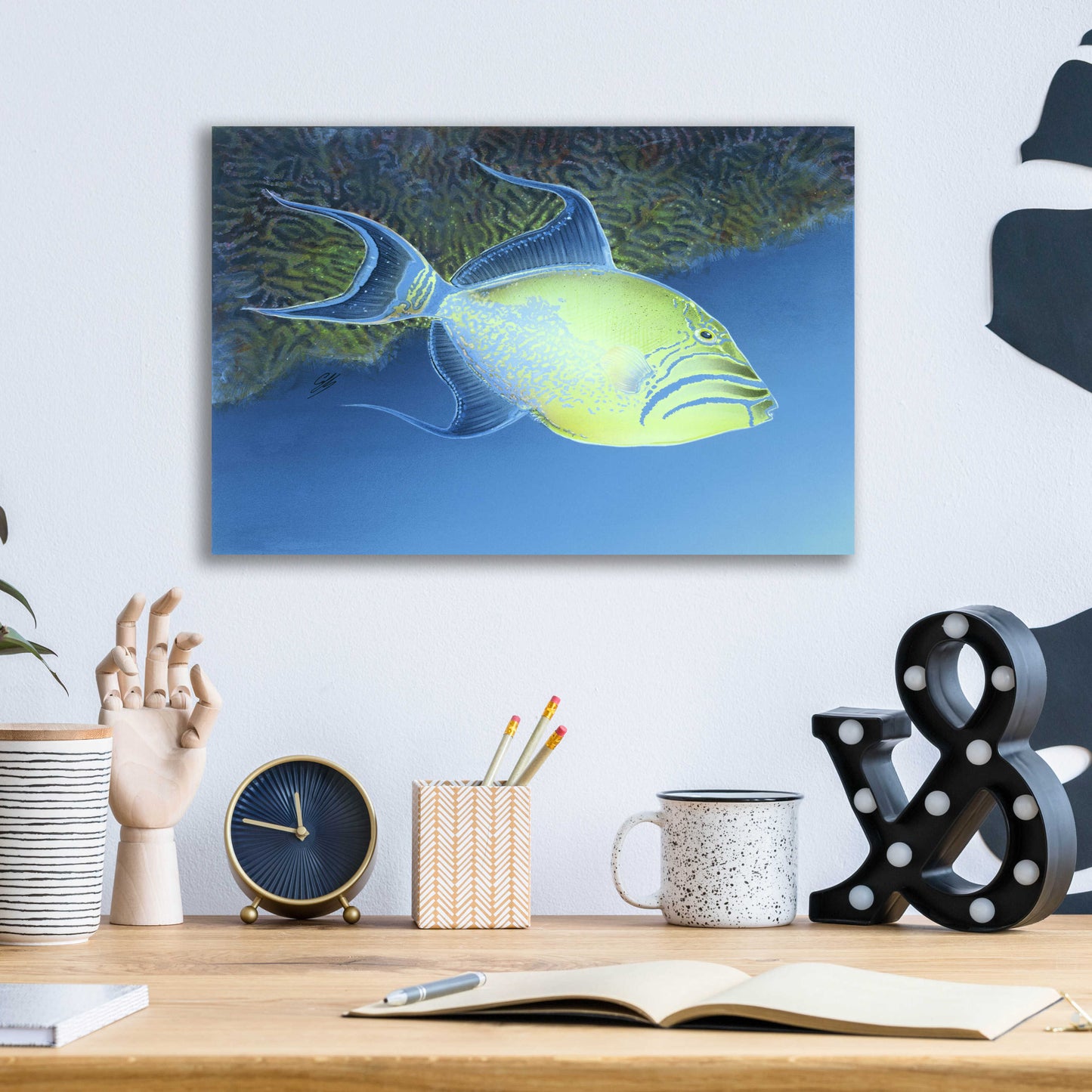 Epic Art 'Trigger Fish' by Durwood Coffey, Acrylic Glass Wall Art,16x12