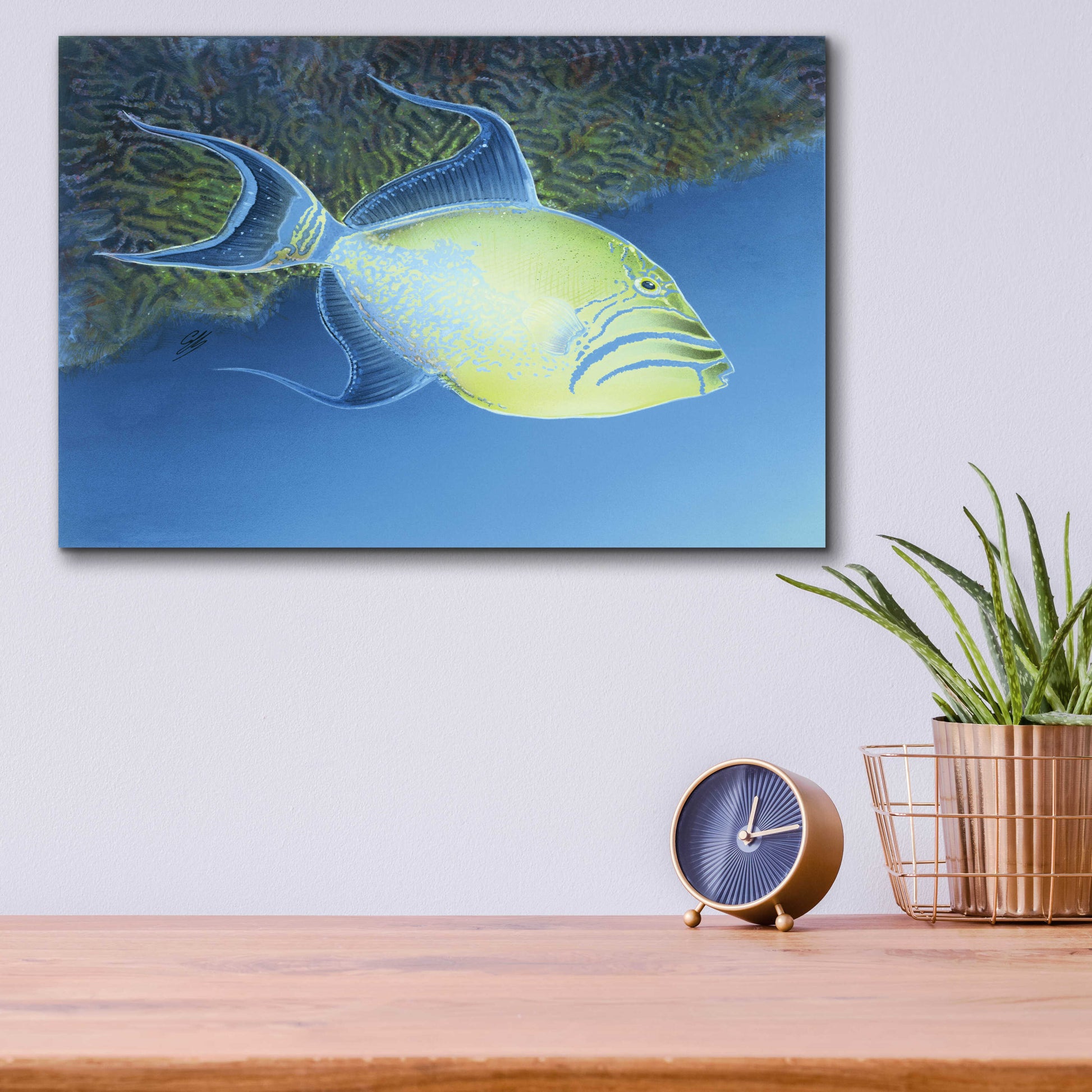 Epic Art 'Trigger Fish' by Durwood Coffey, Acrylic Glass Wall Art,16x12